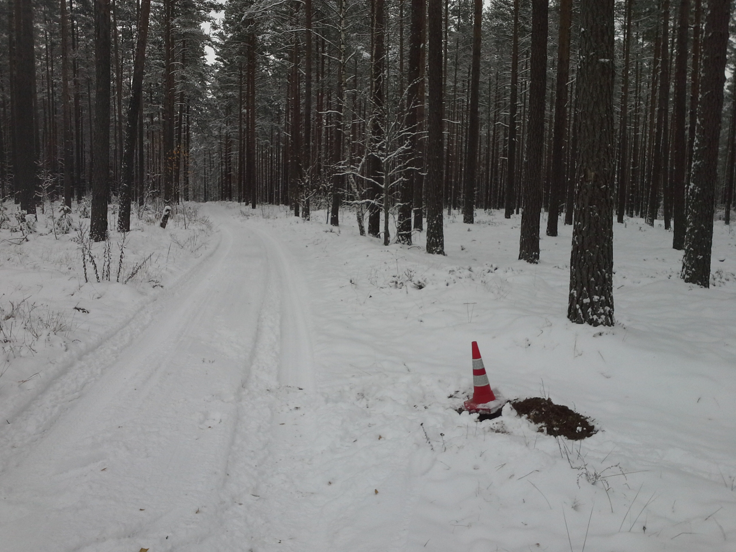 Apkārtnes foto