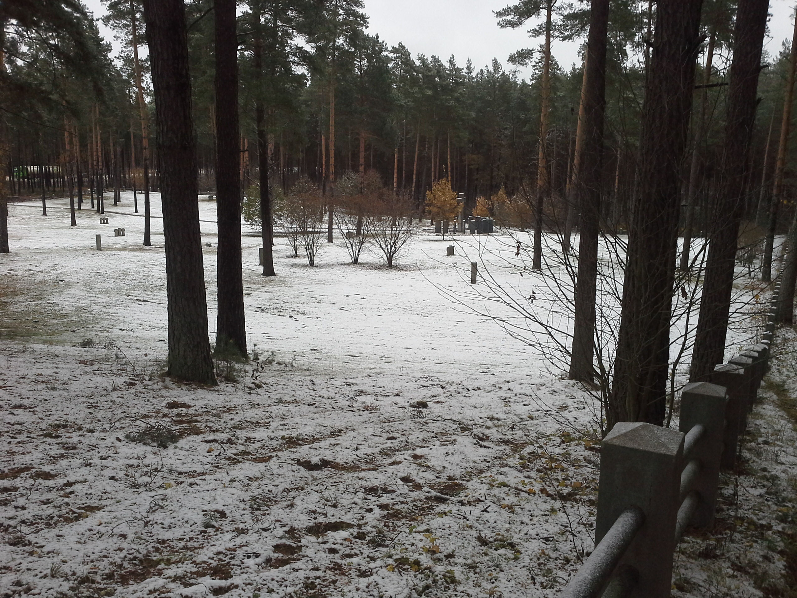 Apkārtnes foto