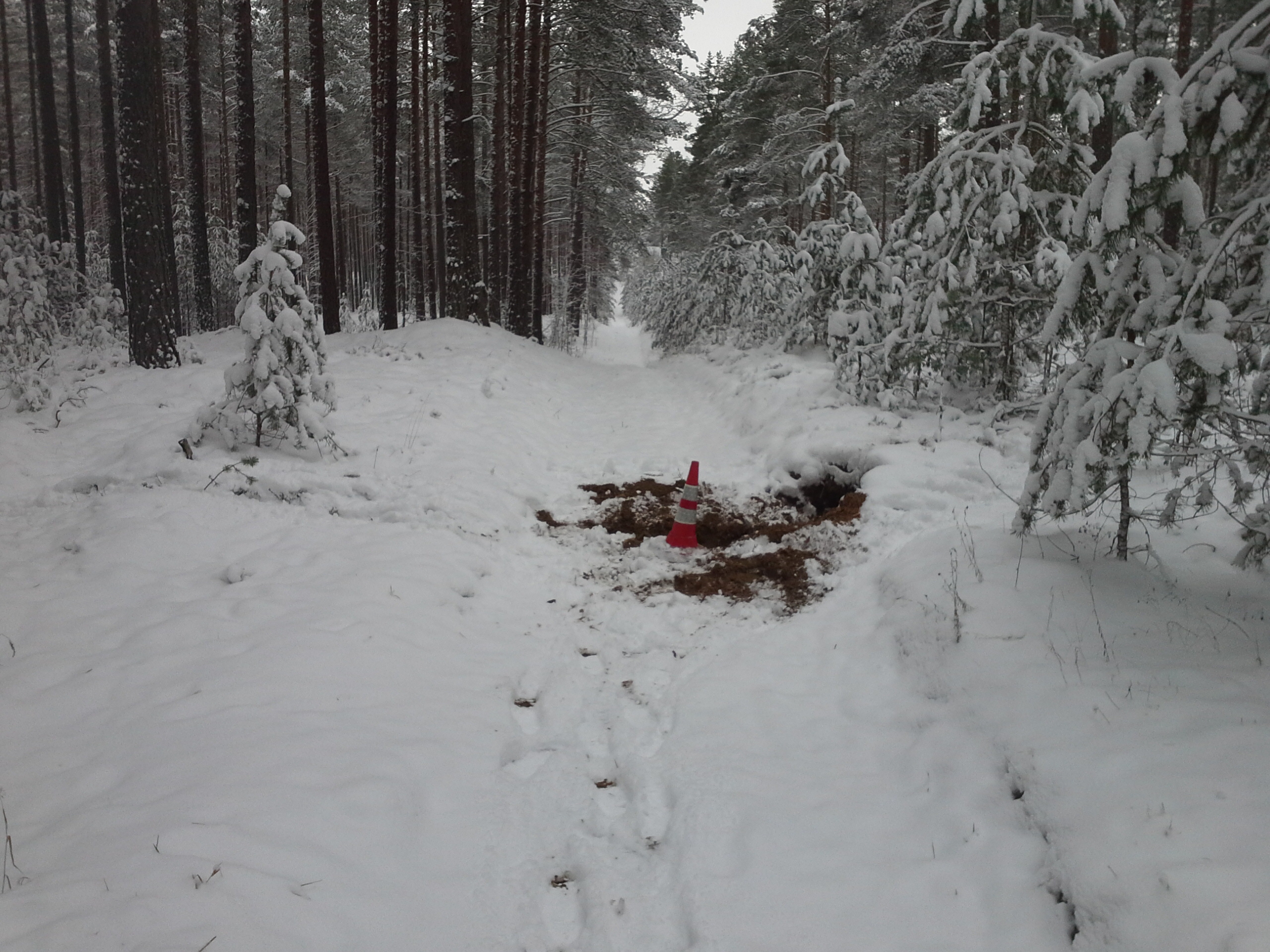 Apkārtnes foto