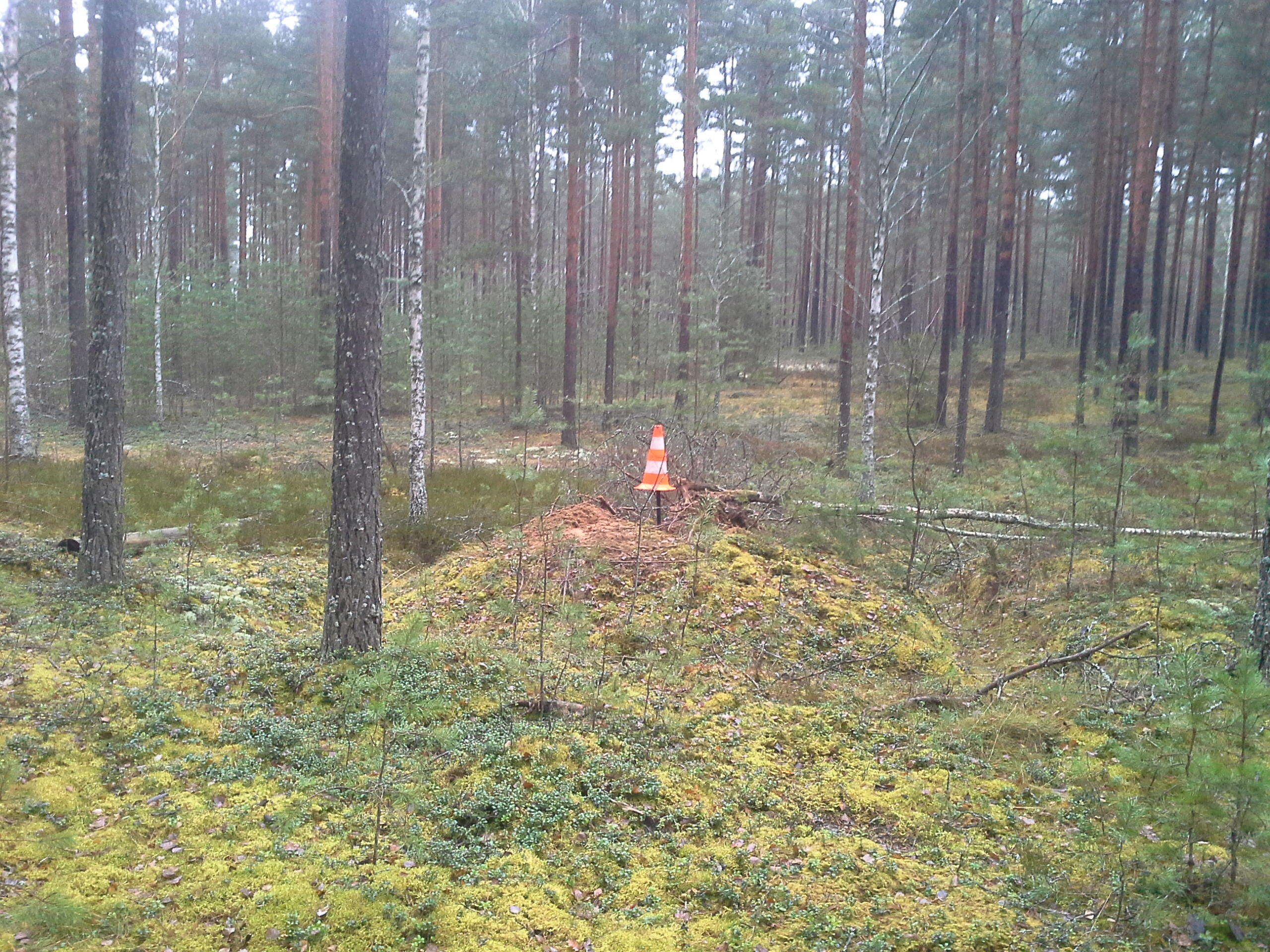 Apkārtnes foto