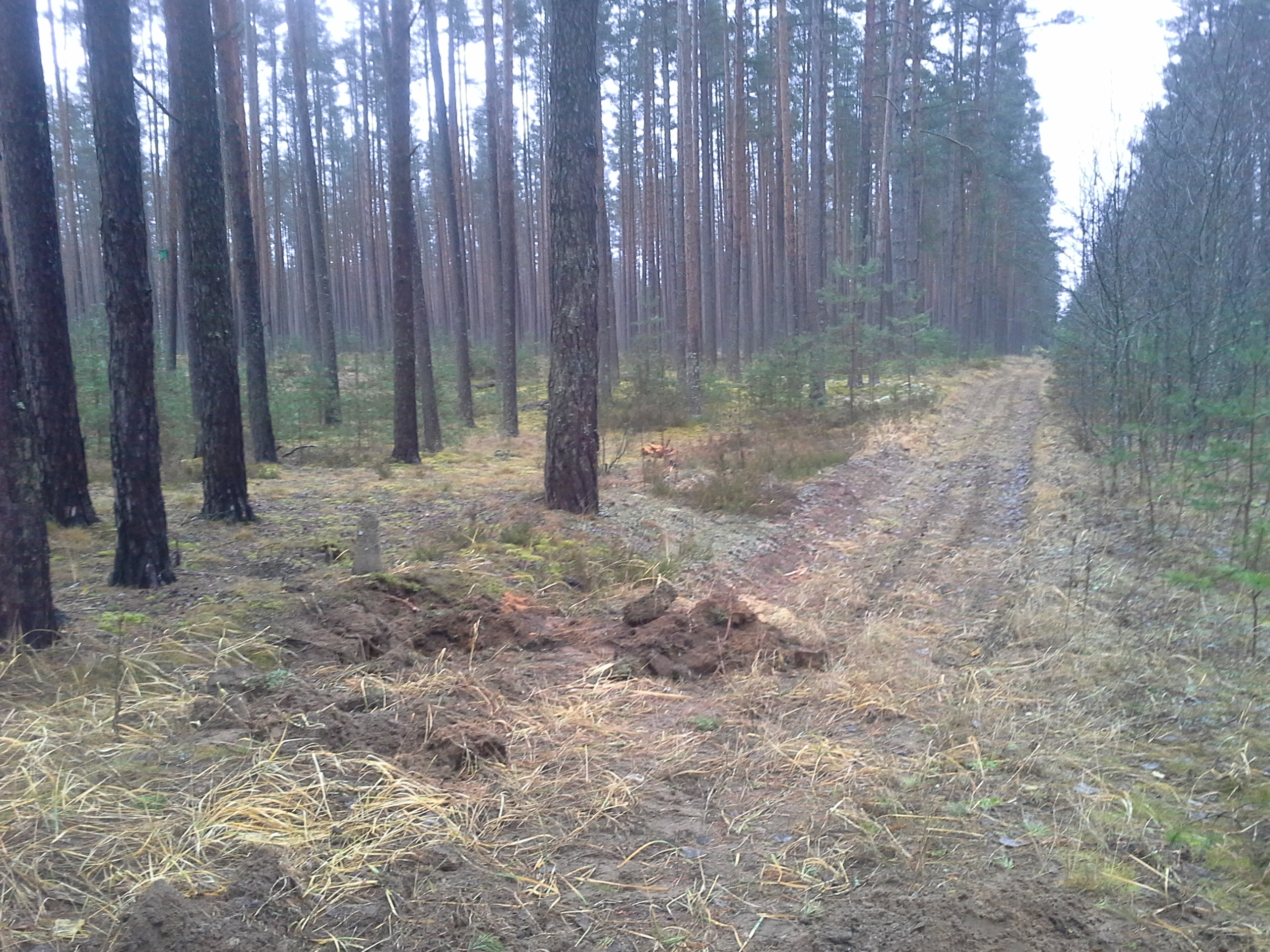 Apkārtnes foto