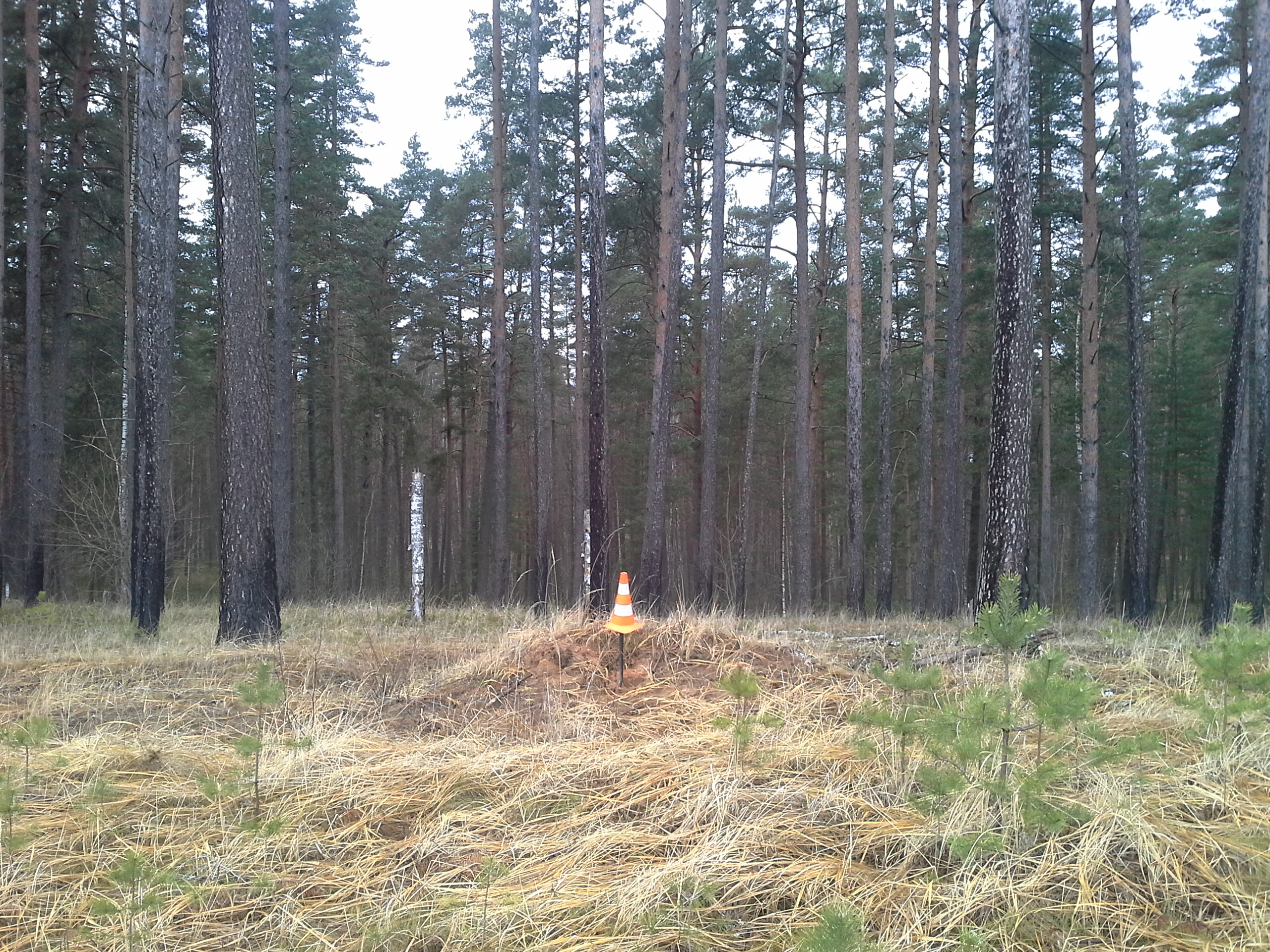 Apkārtnes foto