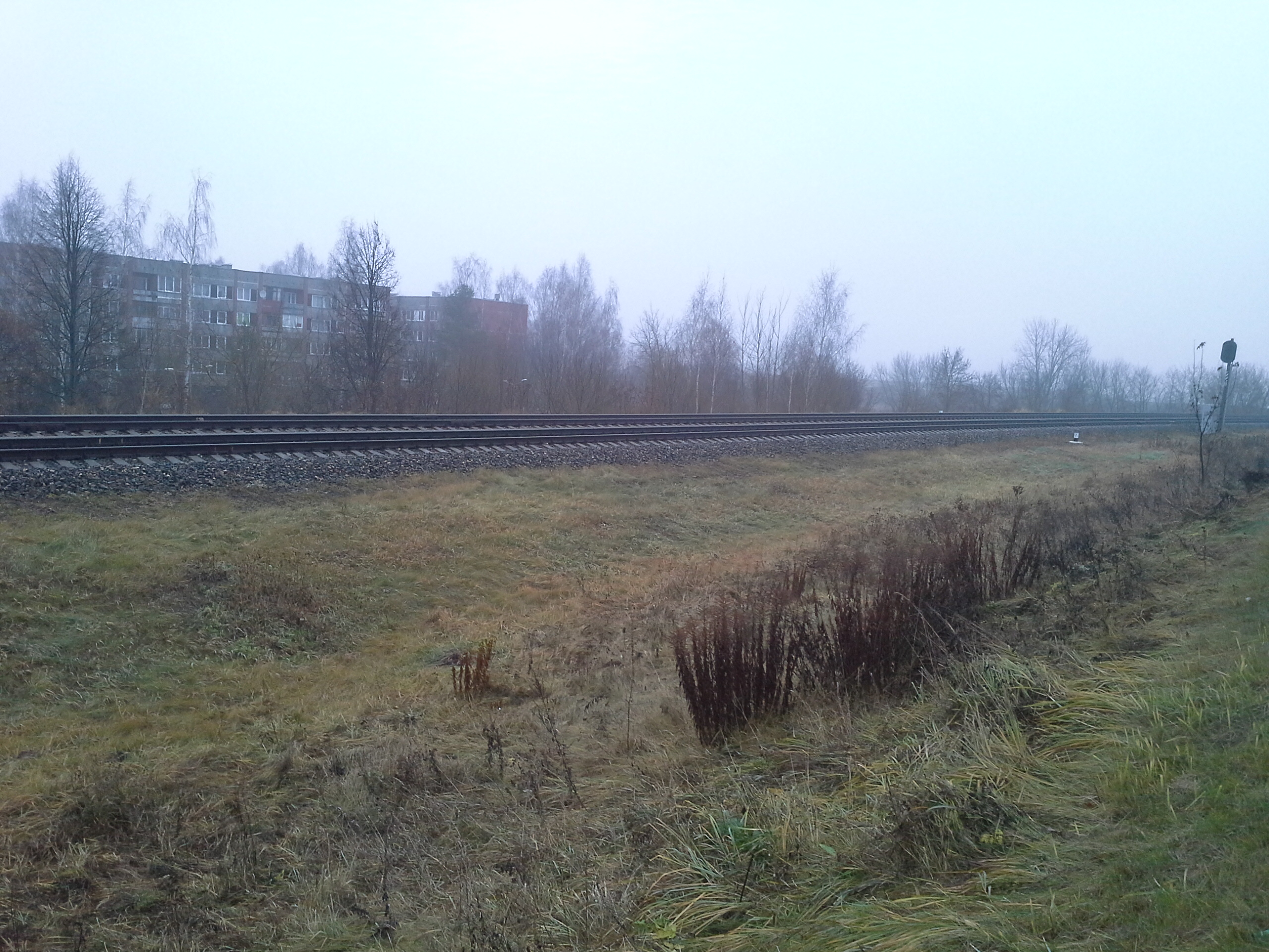 Apkārtnes foto