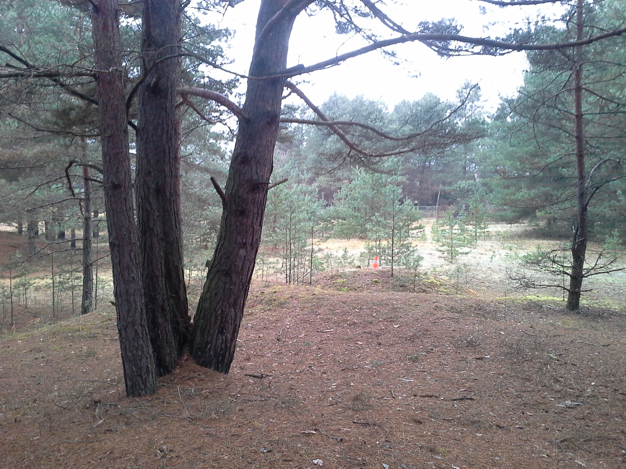 Apkārtnes foto