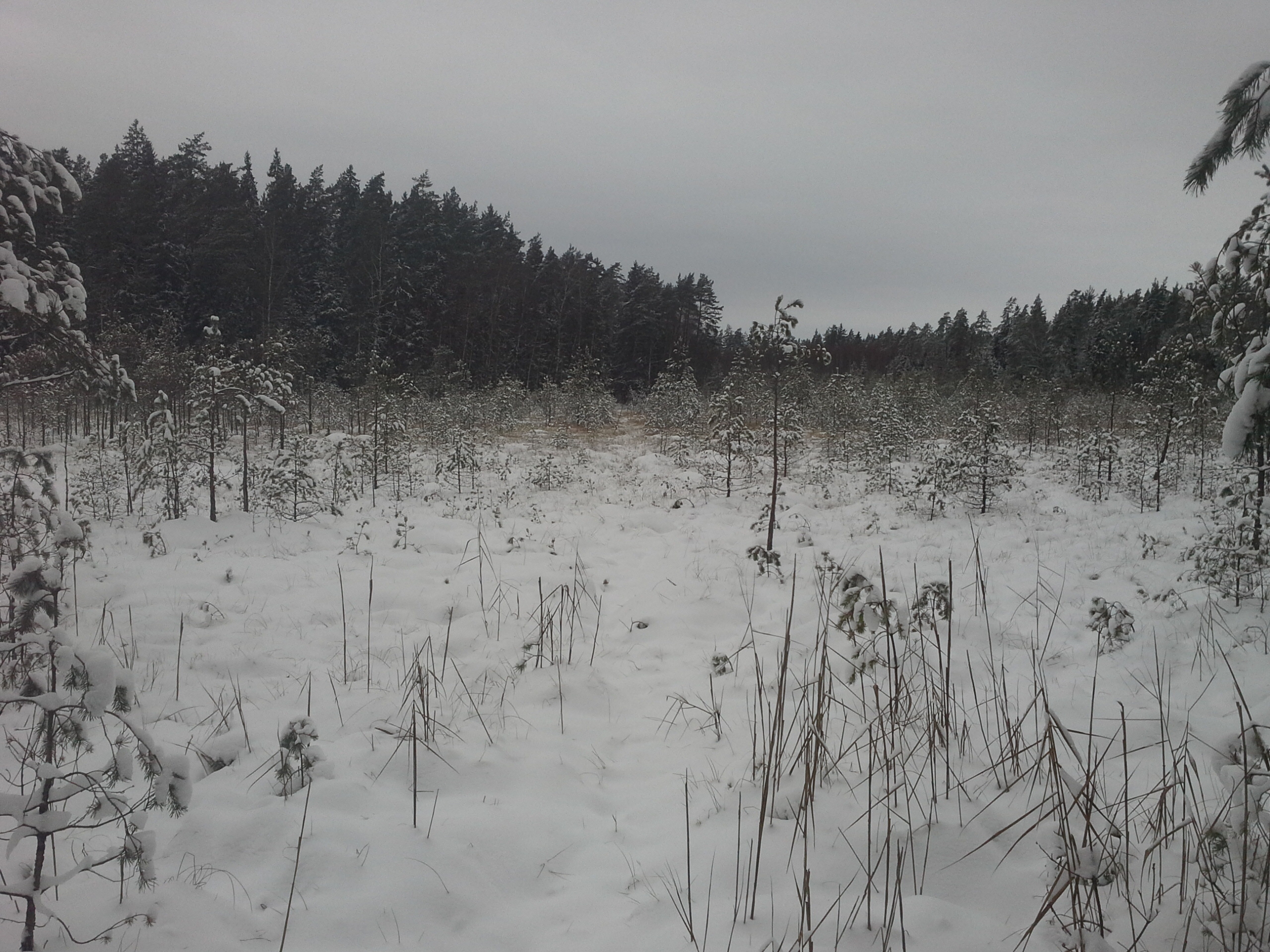 Apkārtnes foto