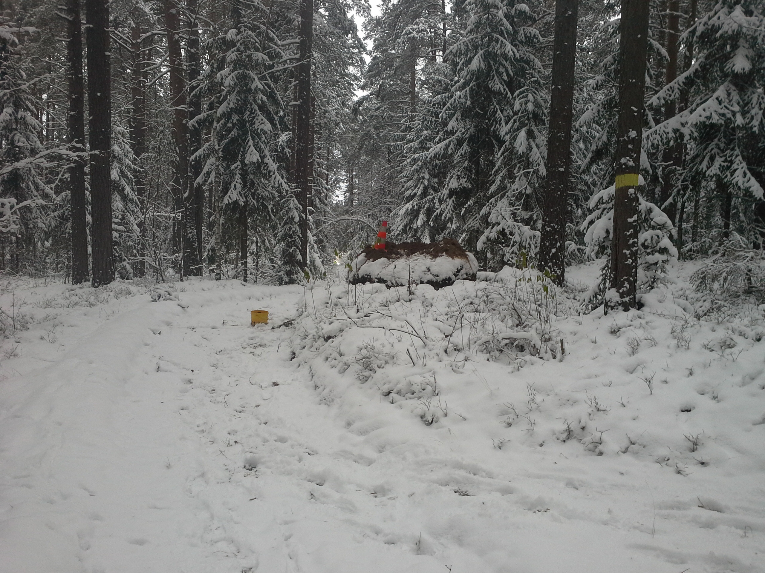 Apkārtnes foto