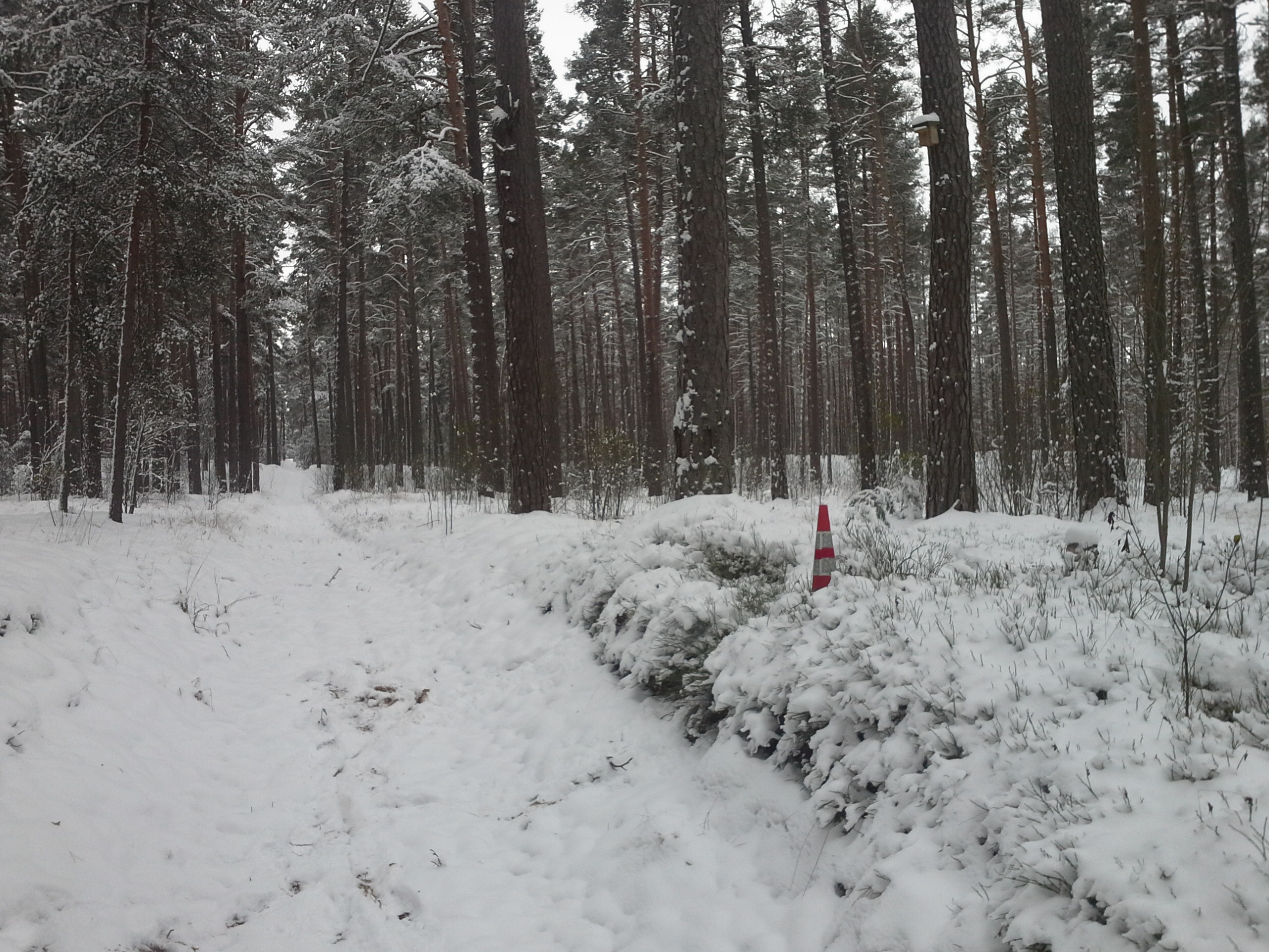 Apkārtnes foto