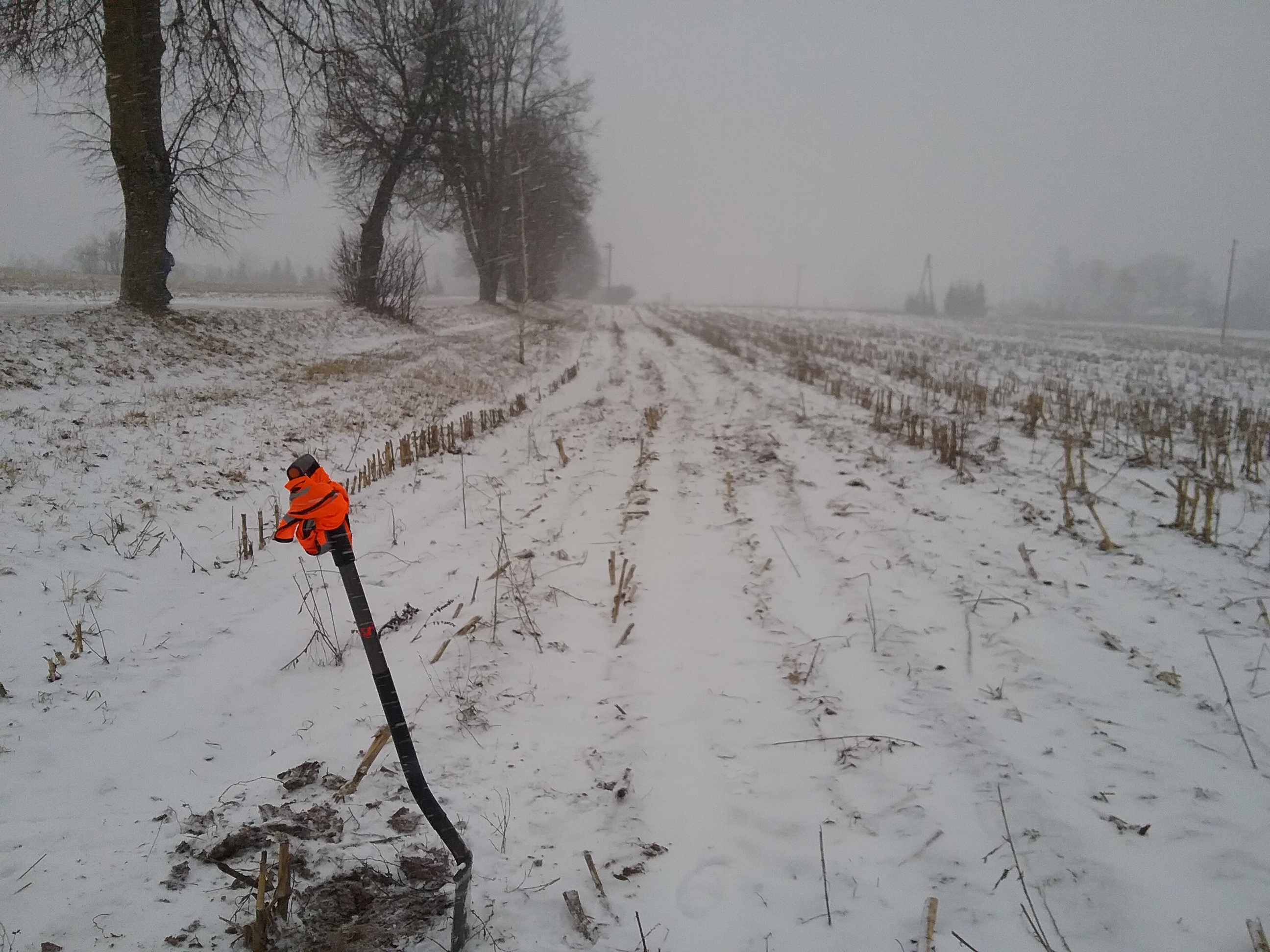 Apkārtnes foto