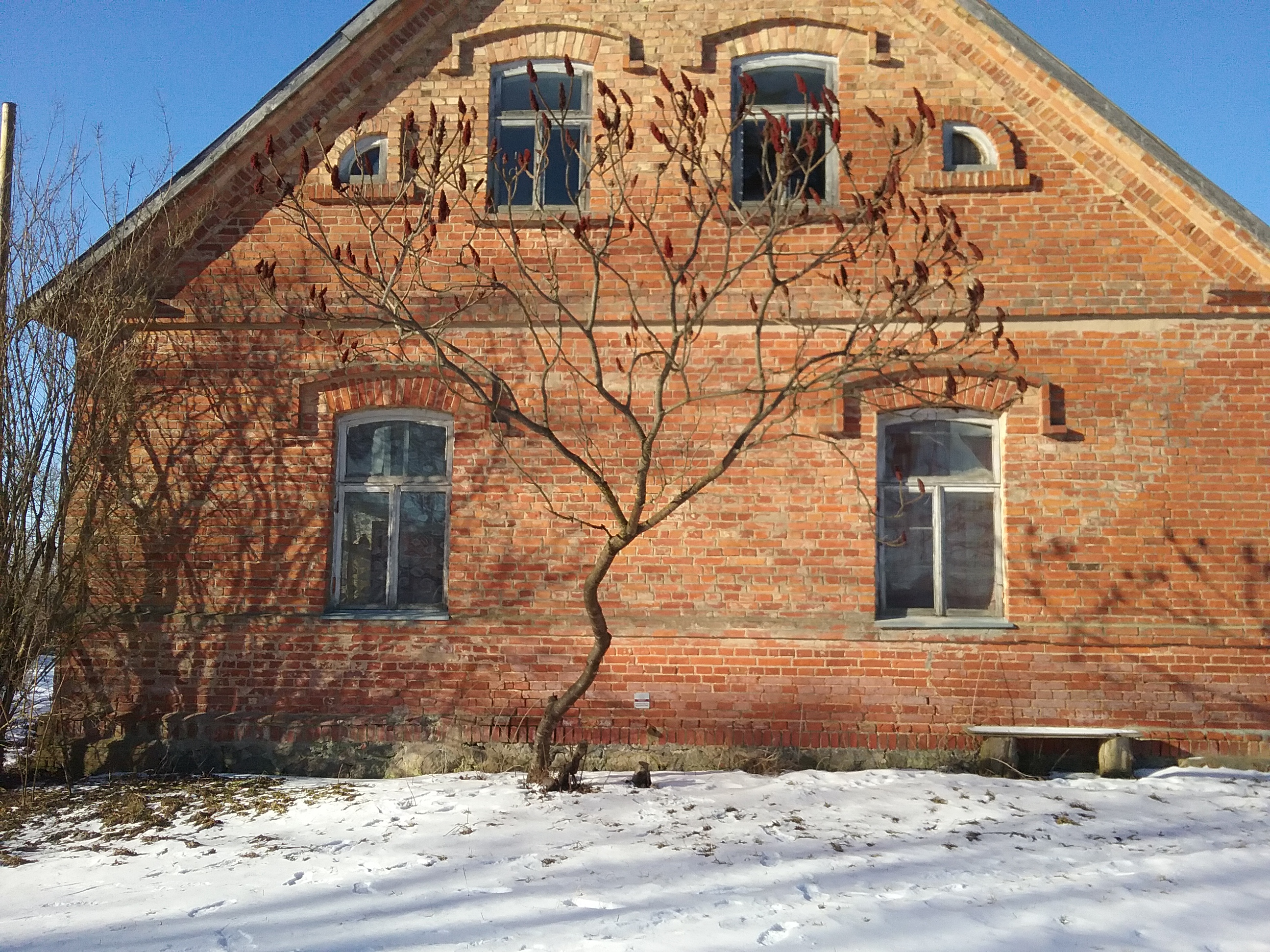 Apkārtnes foto