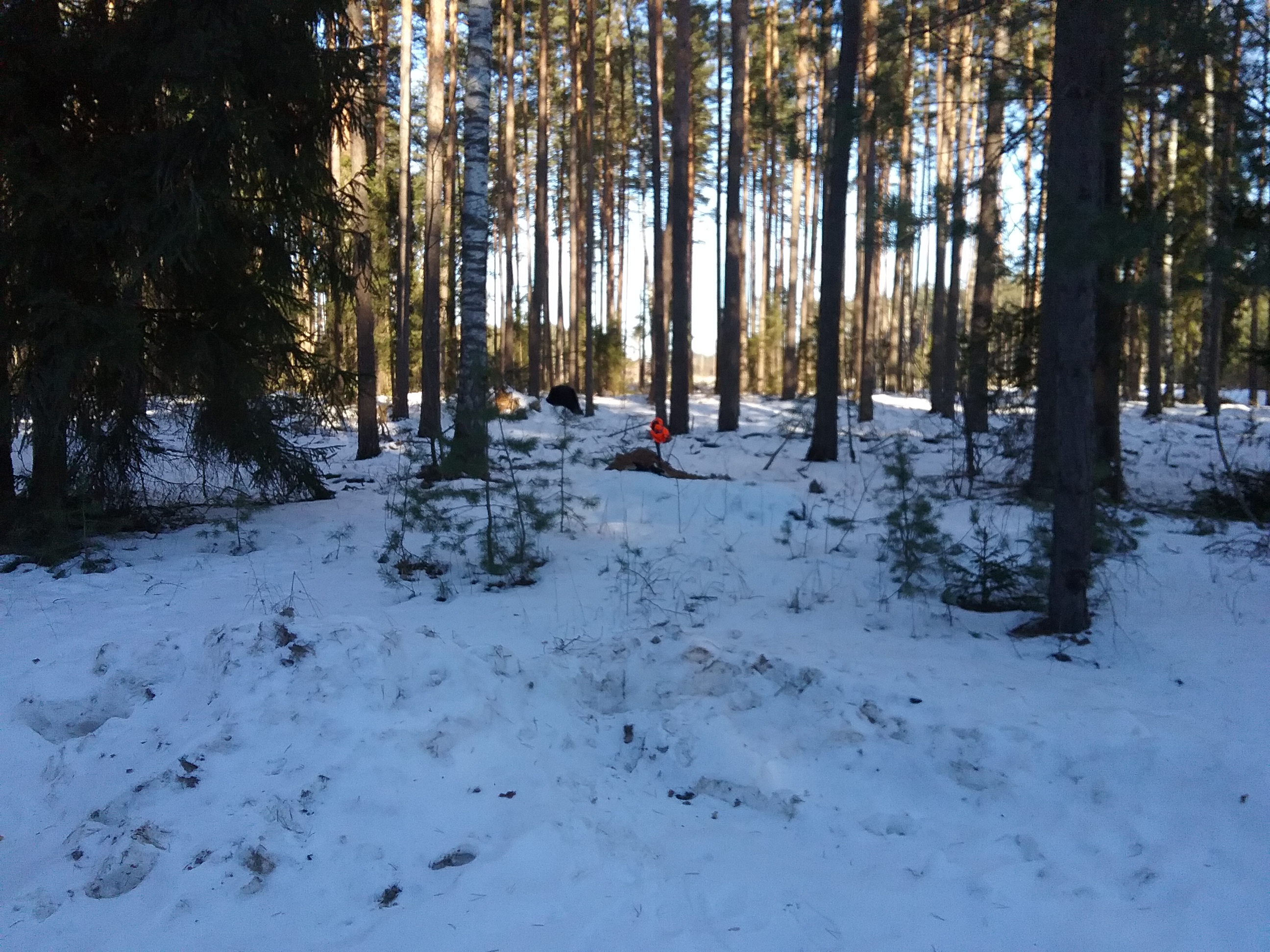 Apkārtnes foto