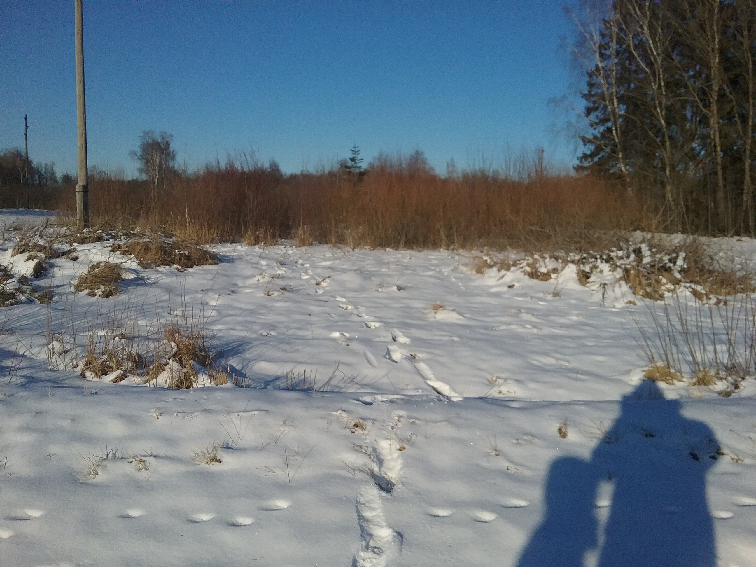 Apkārtnes foto