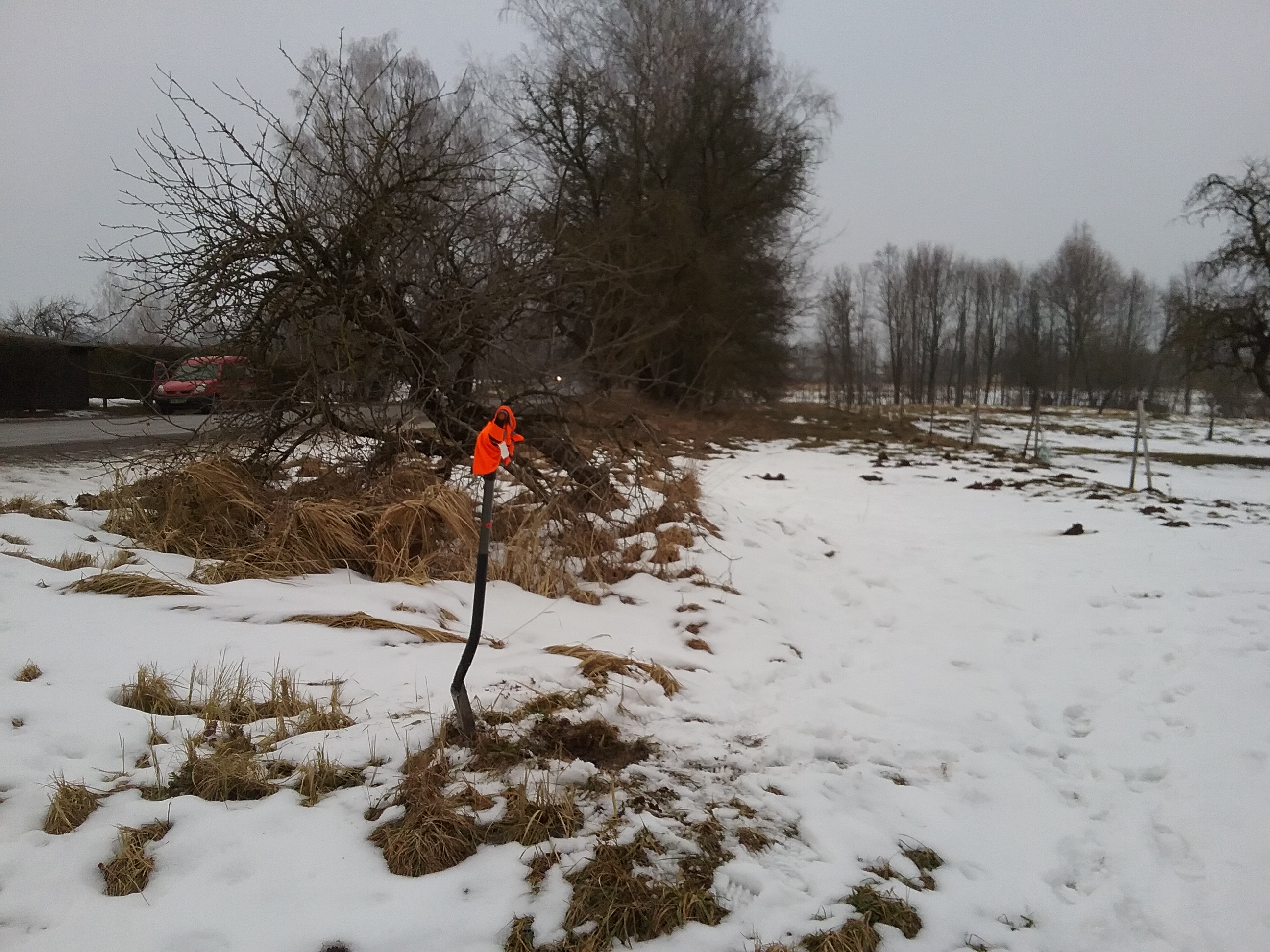 Apkārtnes foto
