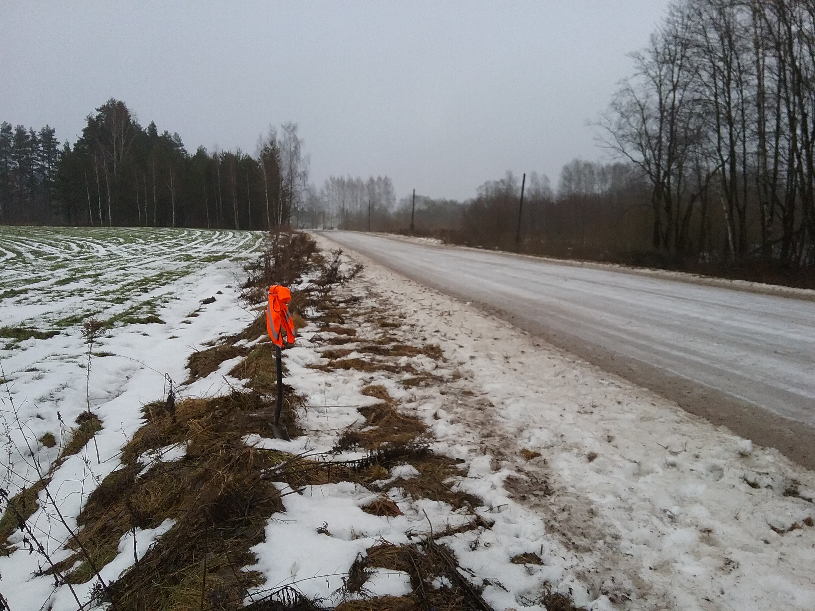 Apkārtnes foto