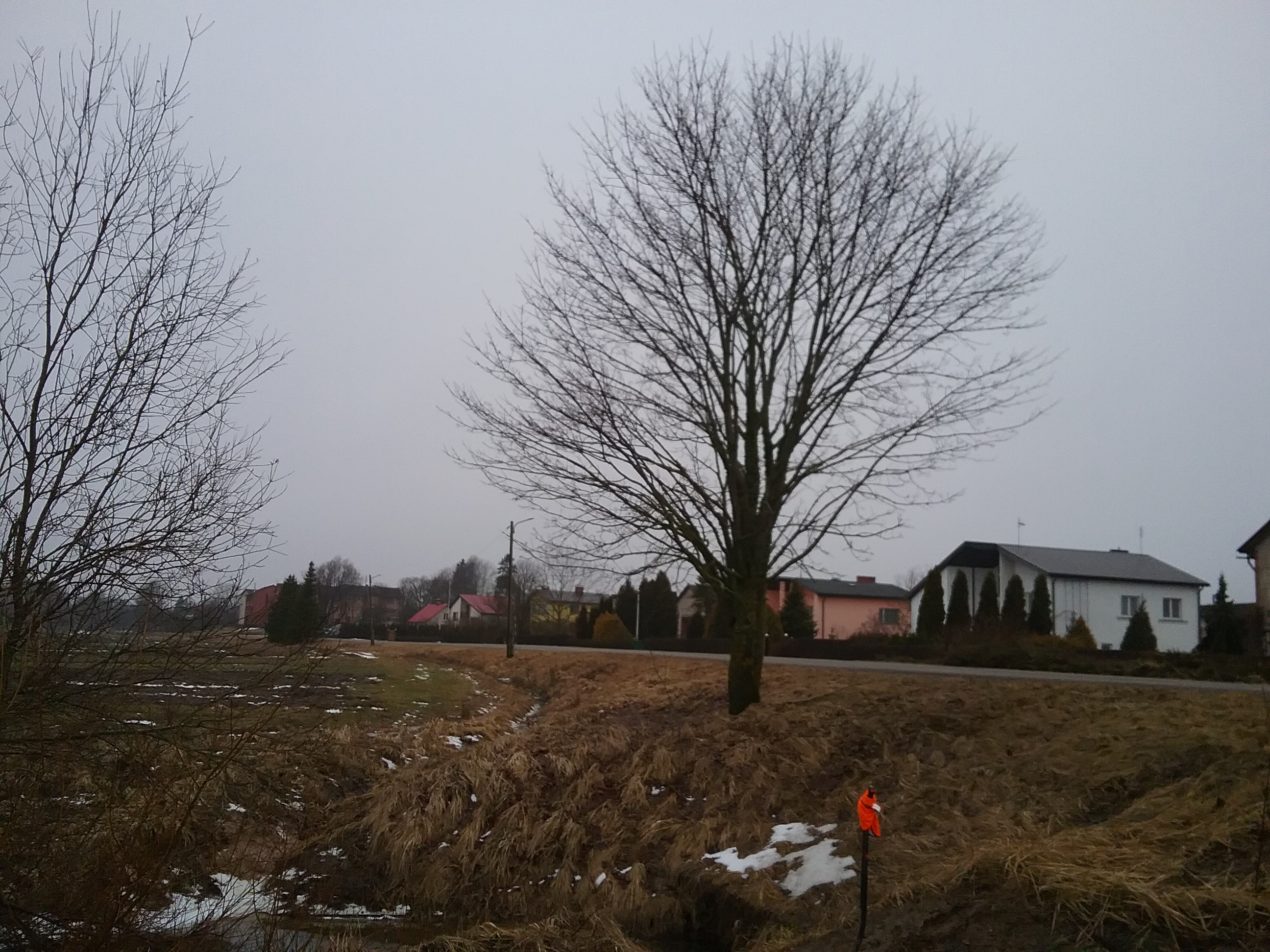Apkārtnes foto
