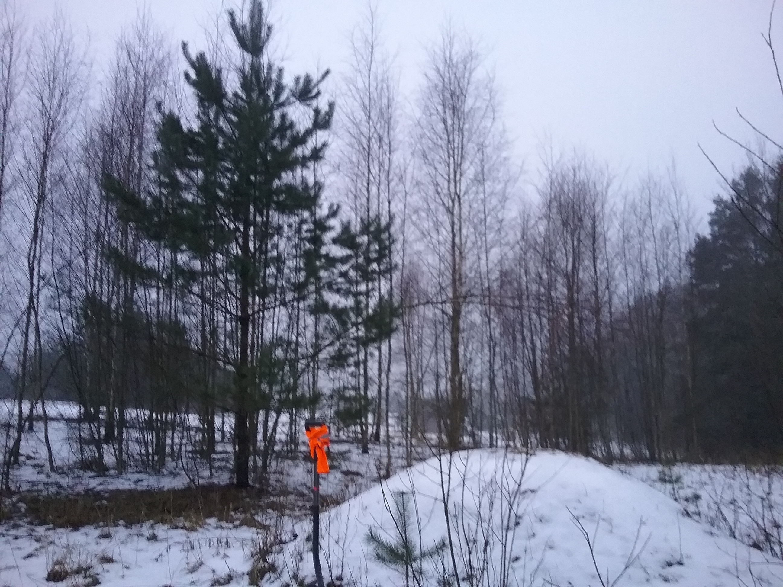Apkārtnes foto