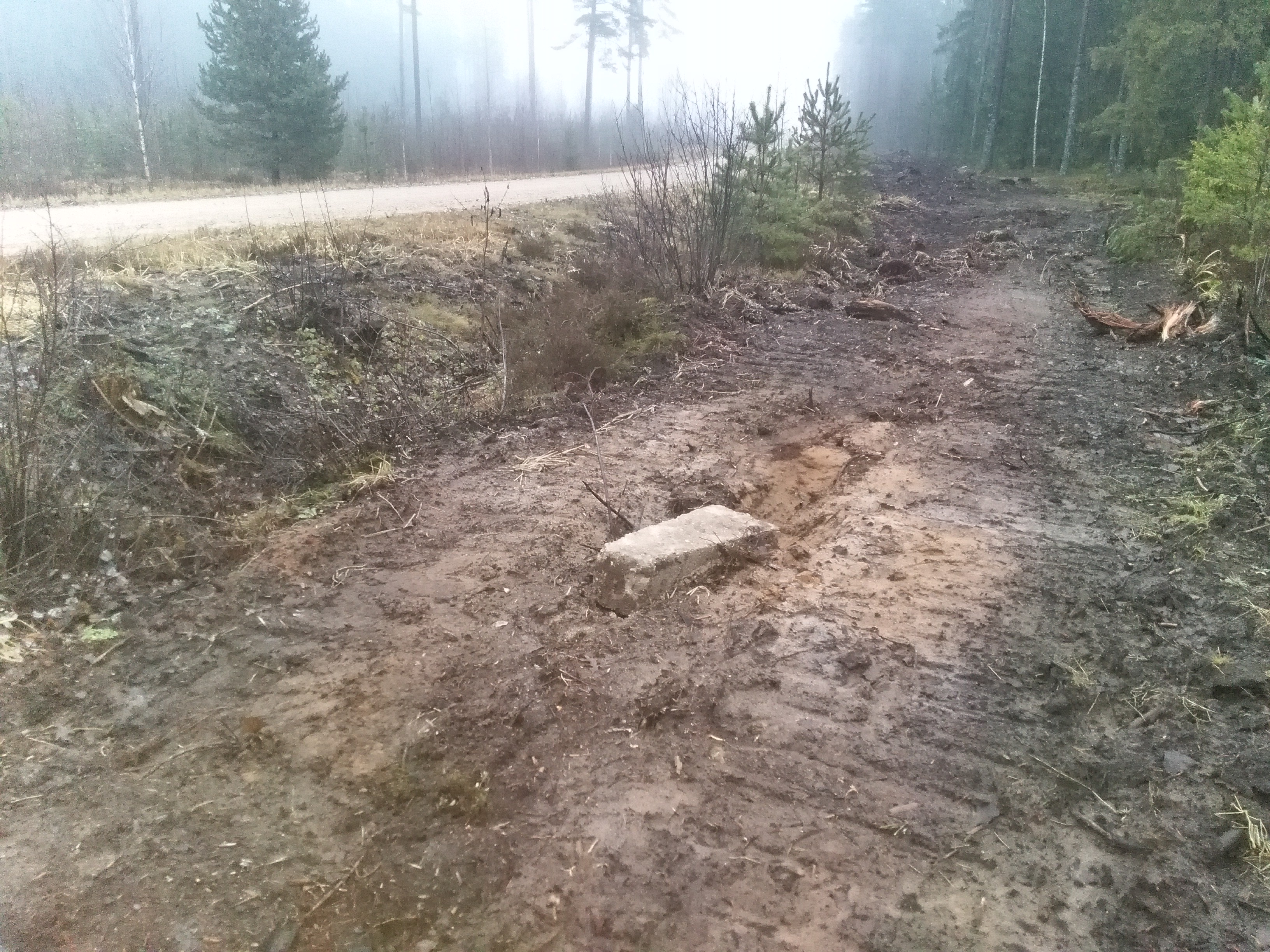 Apkārtnes foto