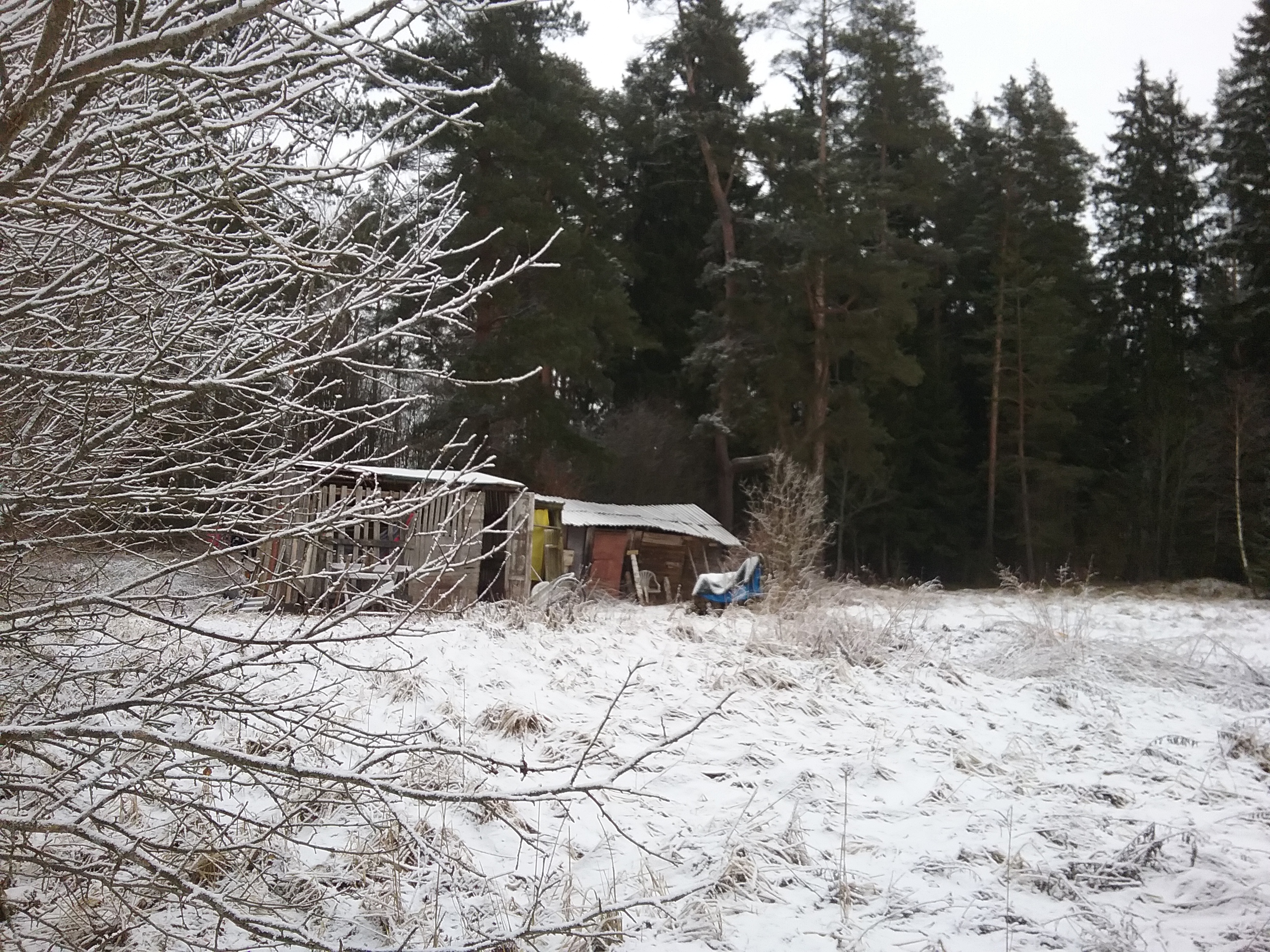 Apkārtnes foto