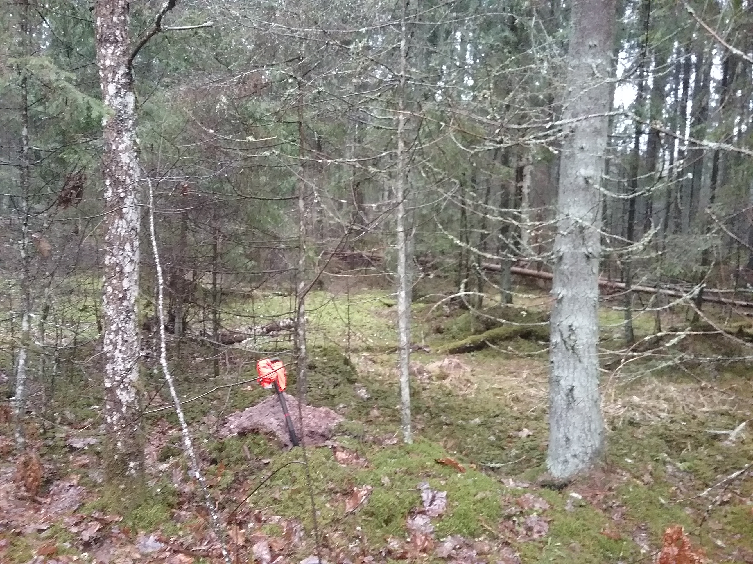 Apkārtnes foto