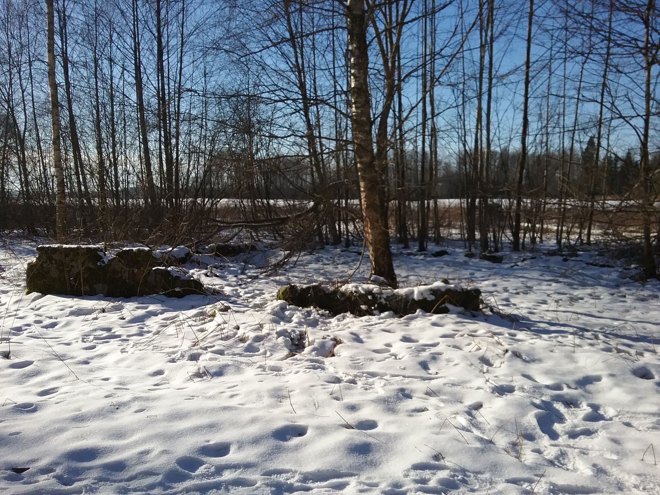 Apkārtnes foto