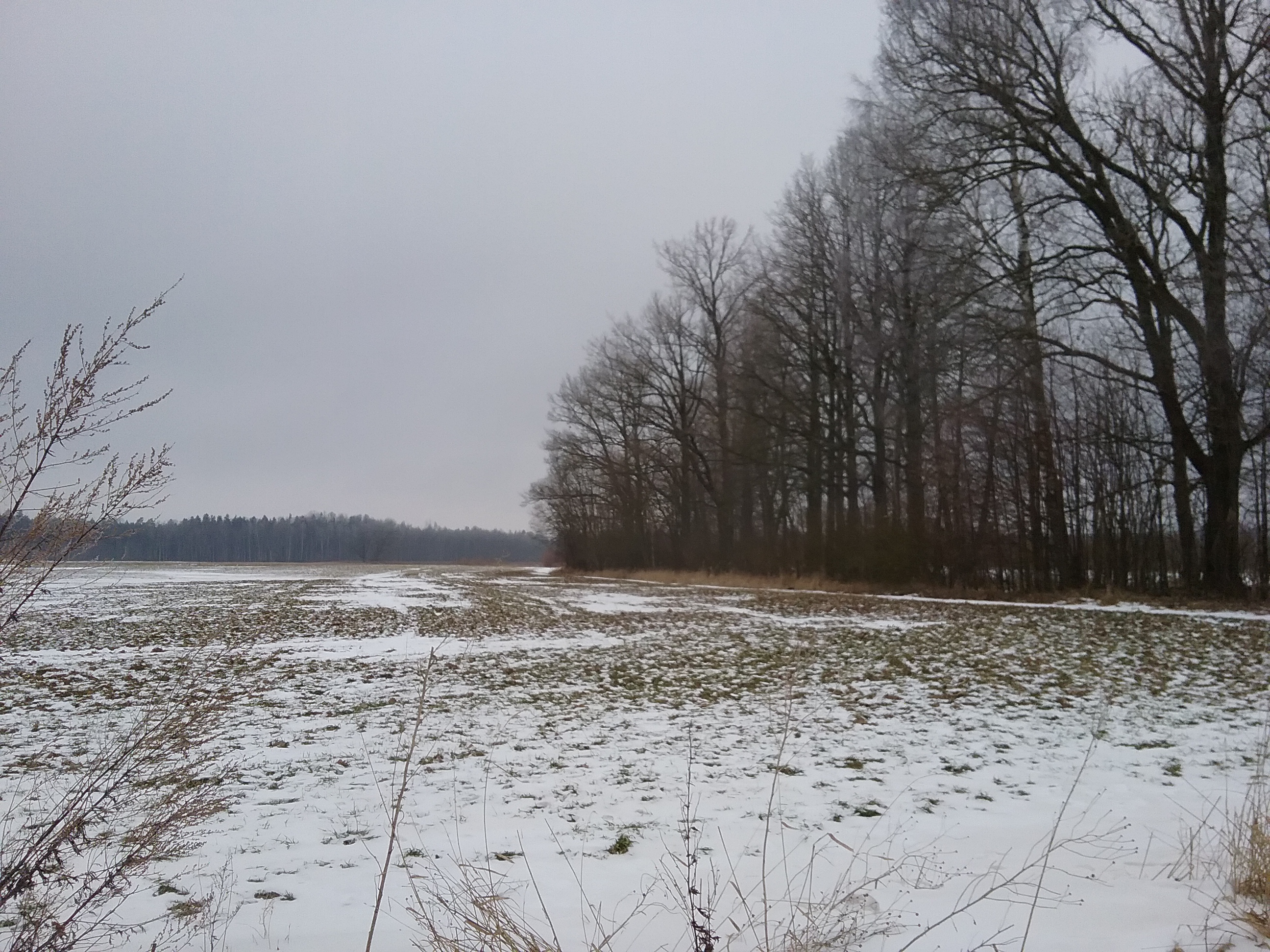 Apkārtnes foto
