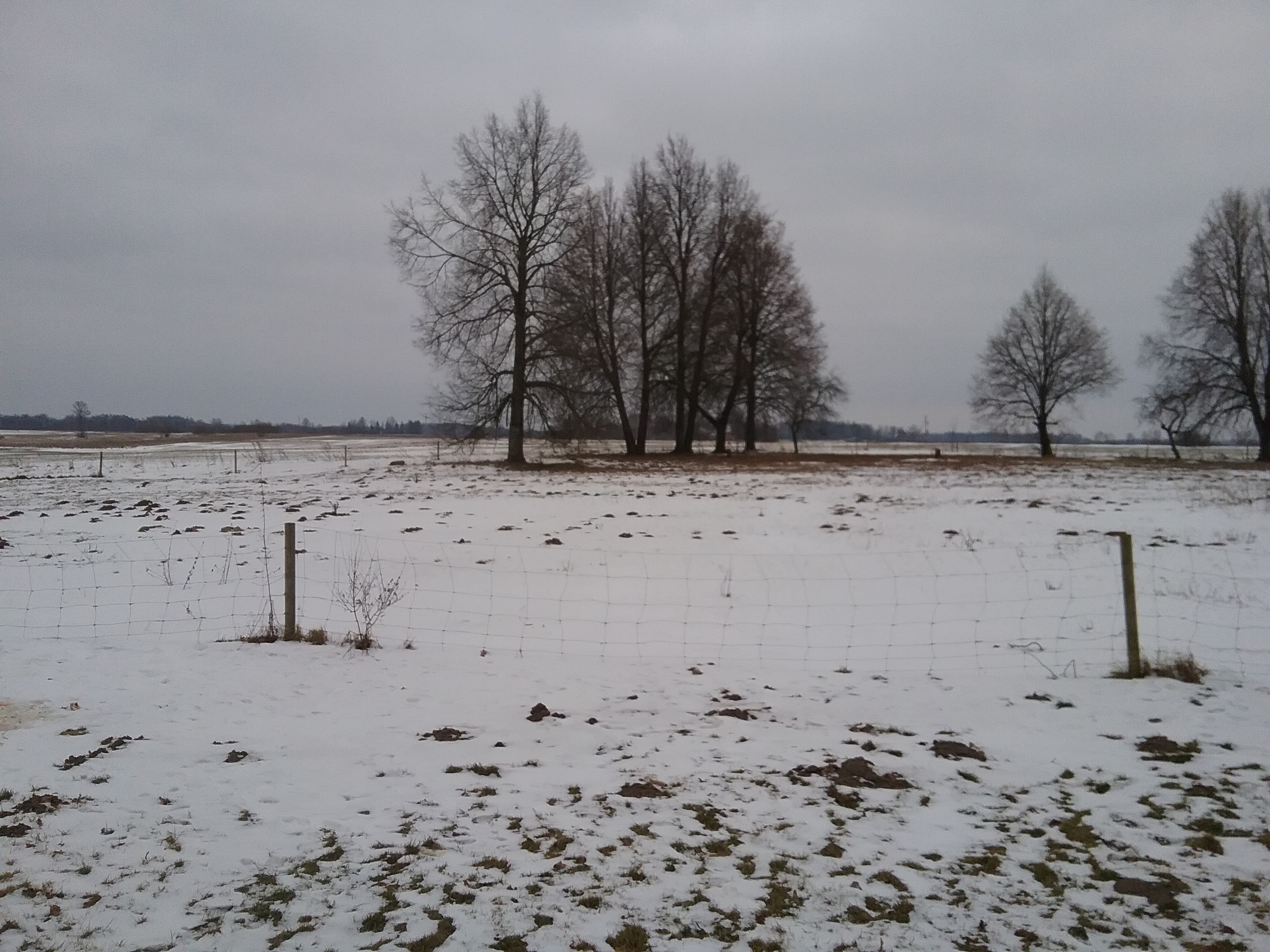 Apkārtnes foto