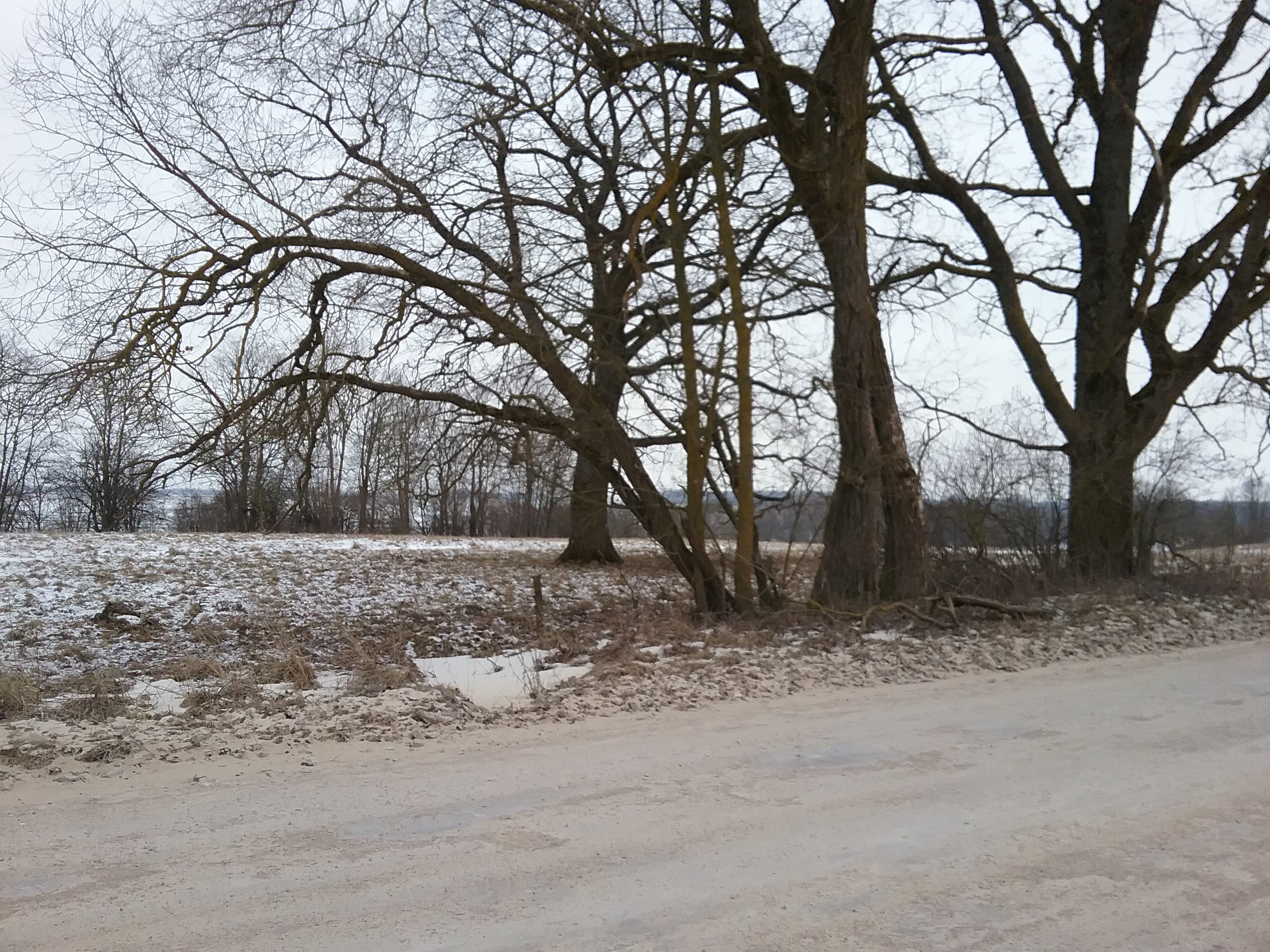 Apkārtnes foto