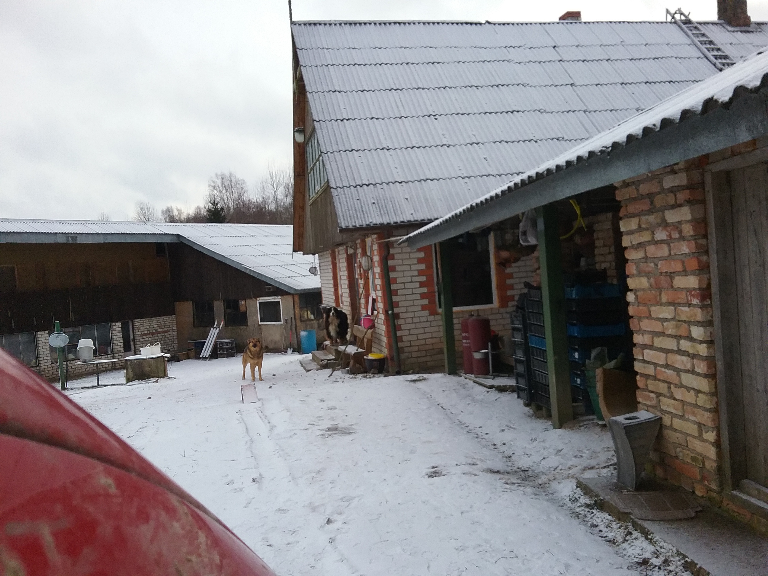 Apkārtnes foto