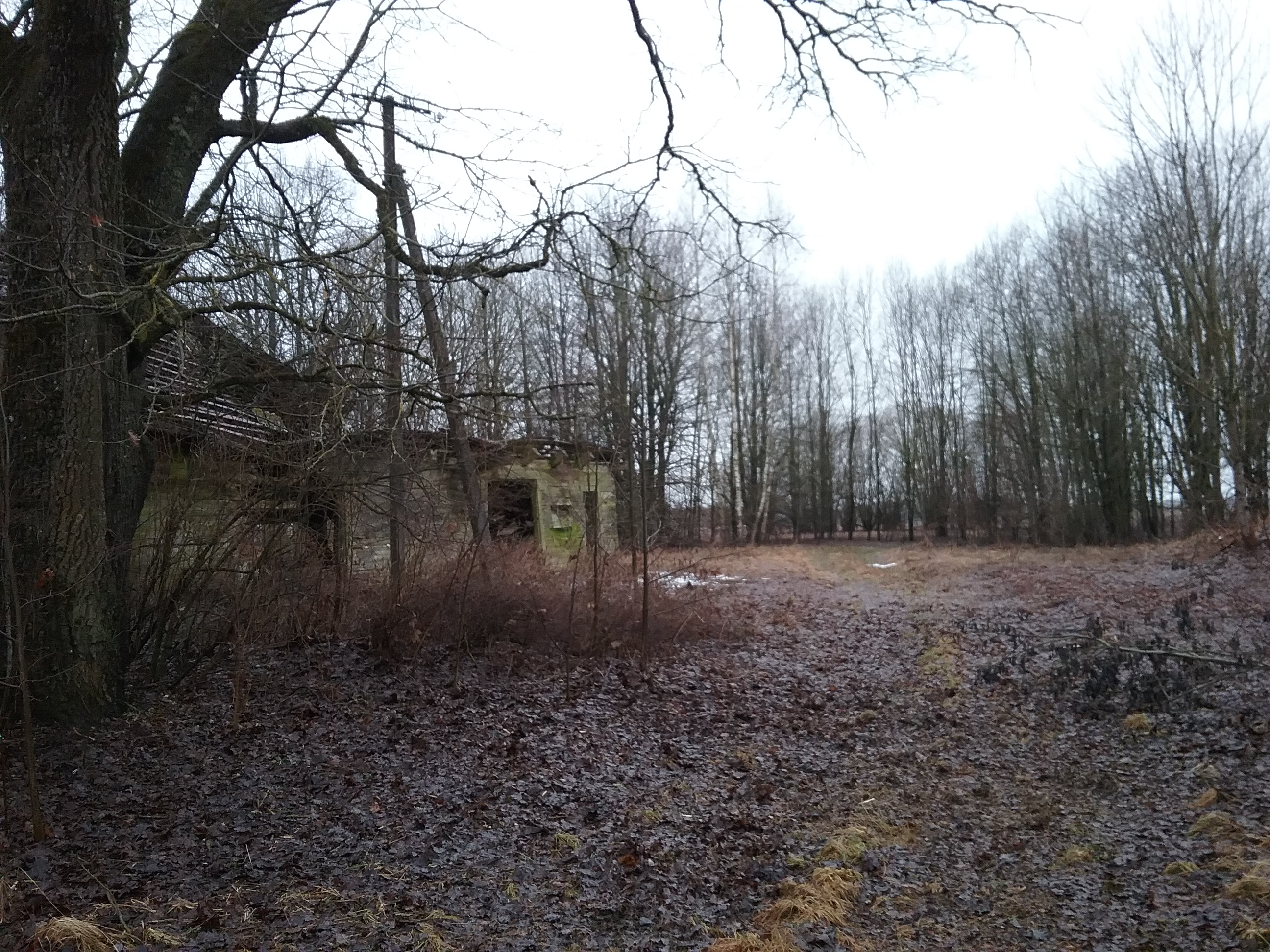 Apkārtnes foto