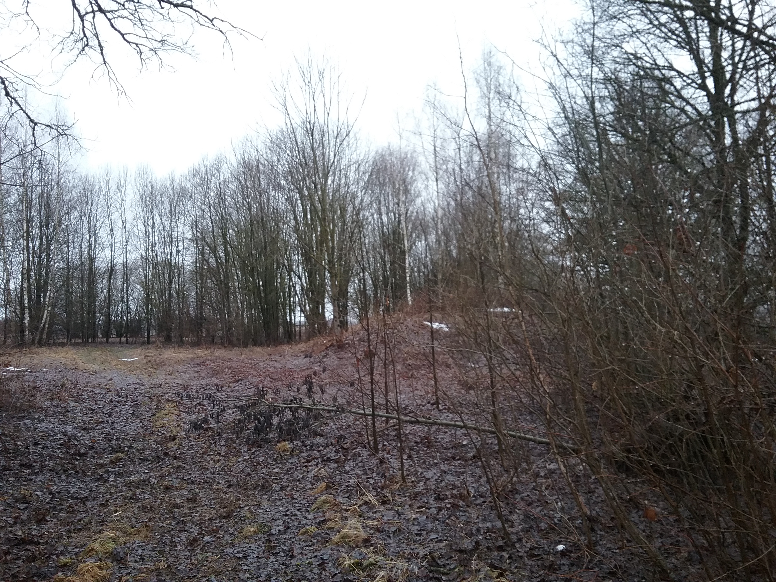 Apkārtnes foto