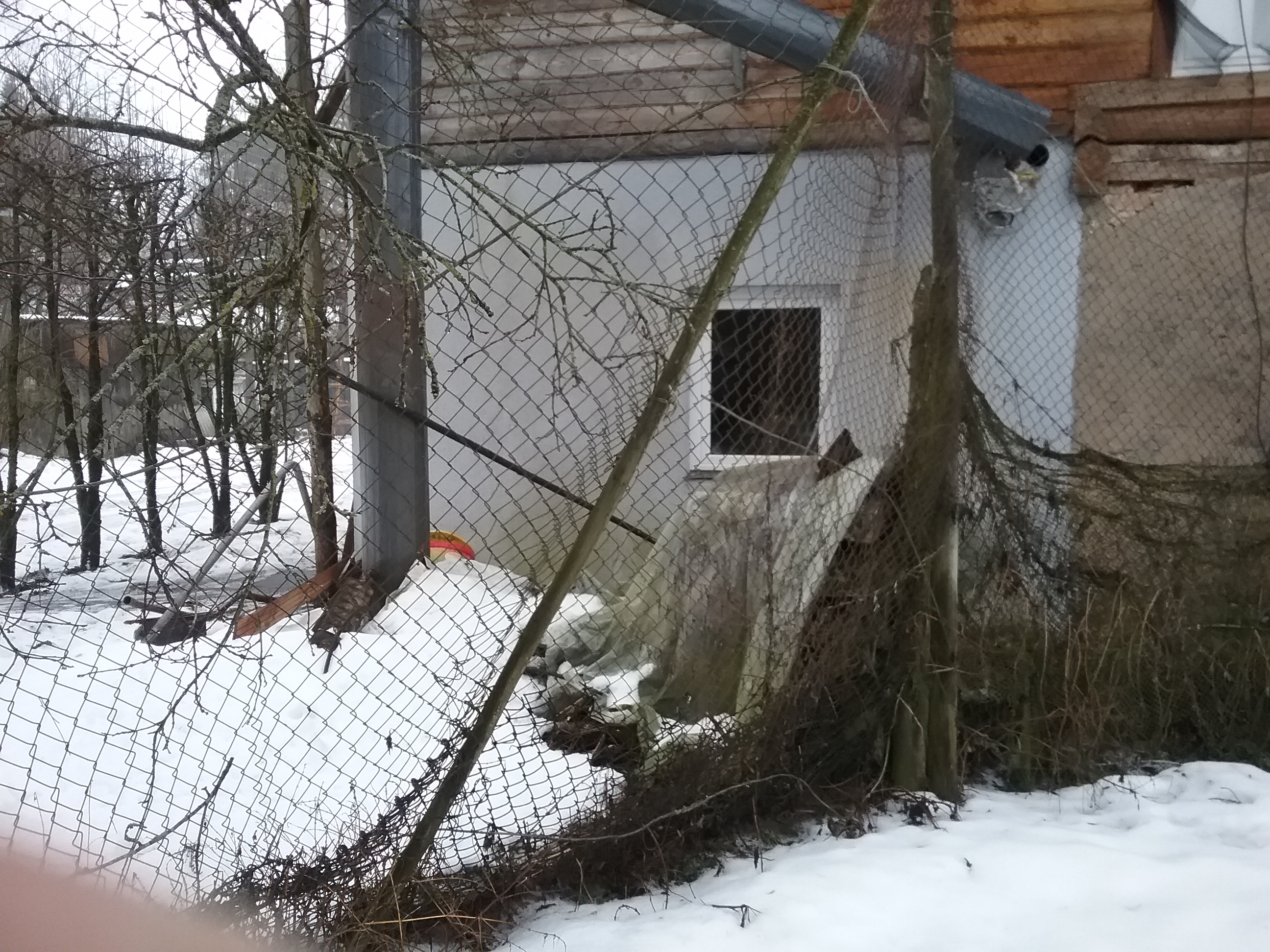 Apkārtnes foto