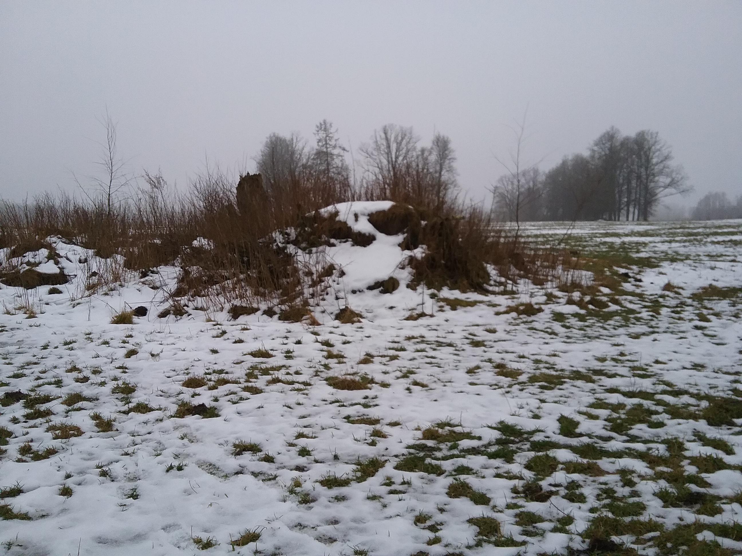 Apkārtnes foto