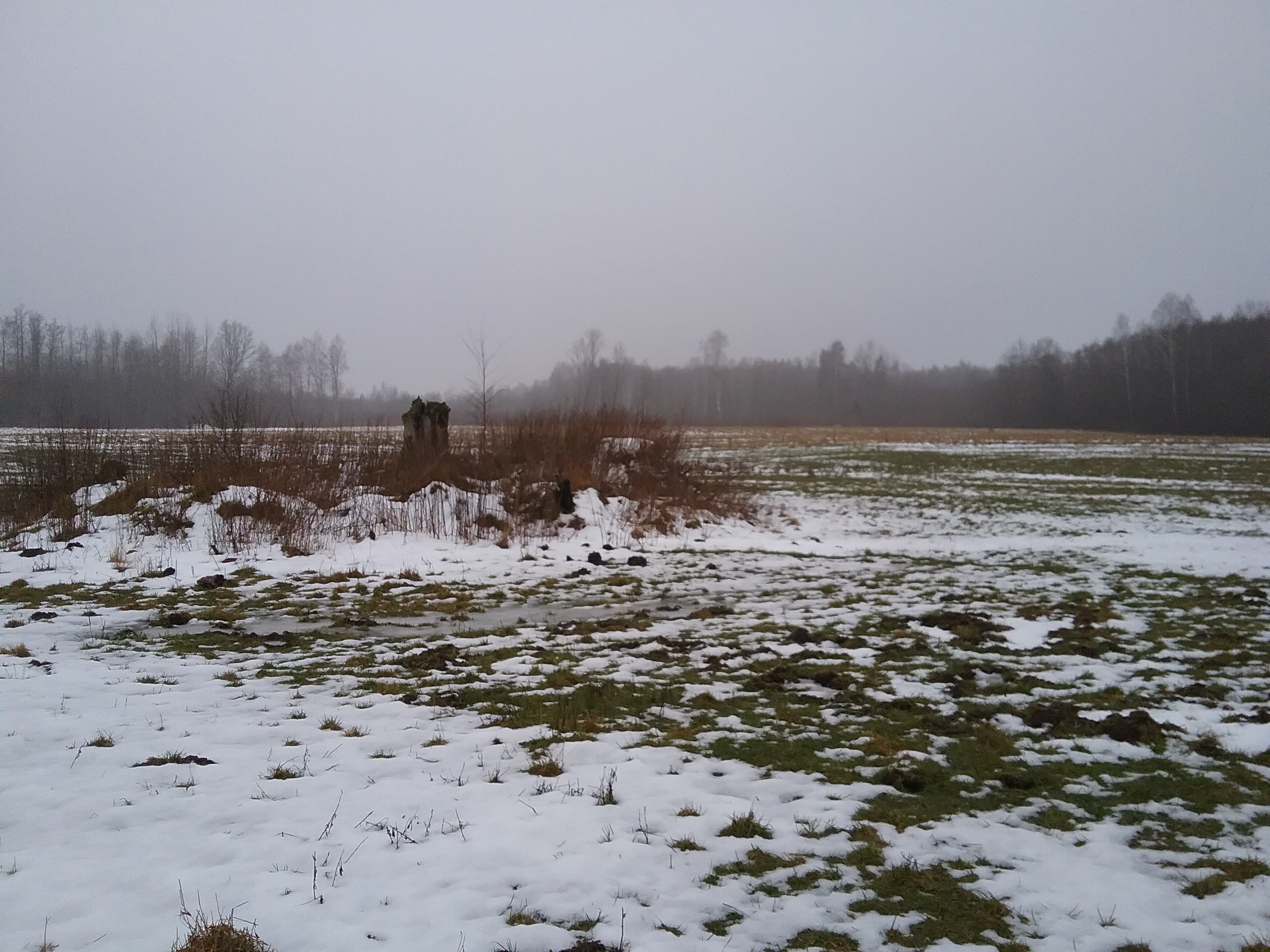 Apkārtnes foto