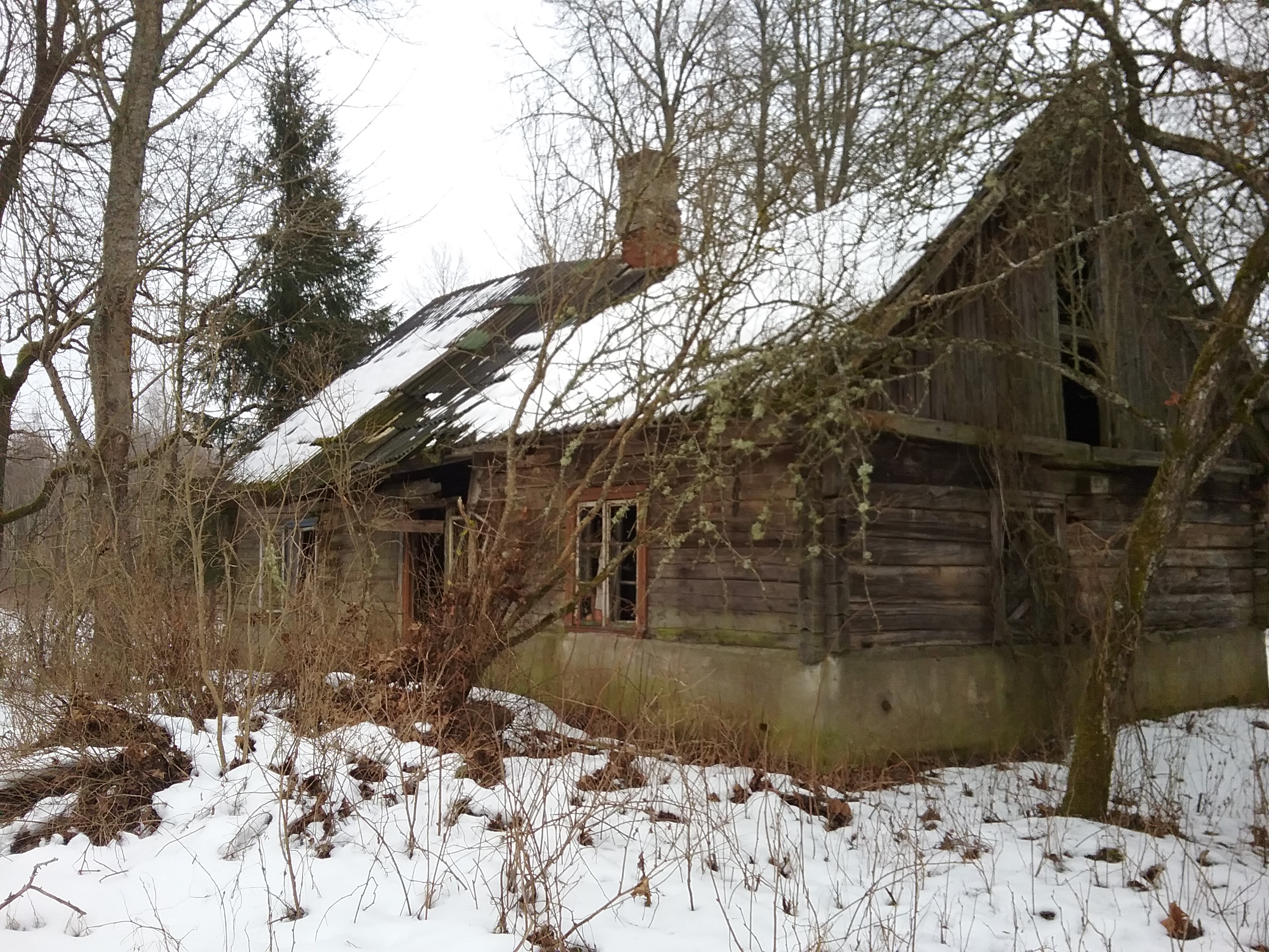 Apkārtnes foto