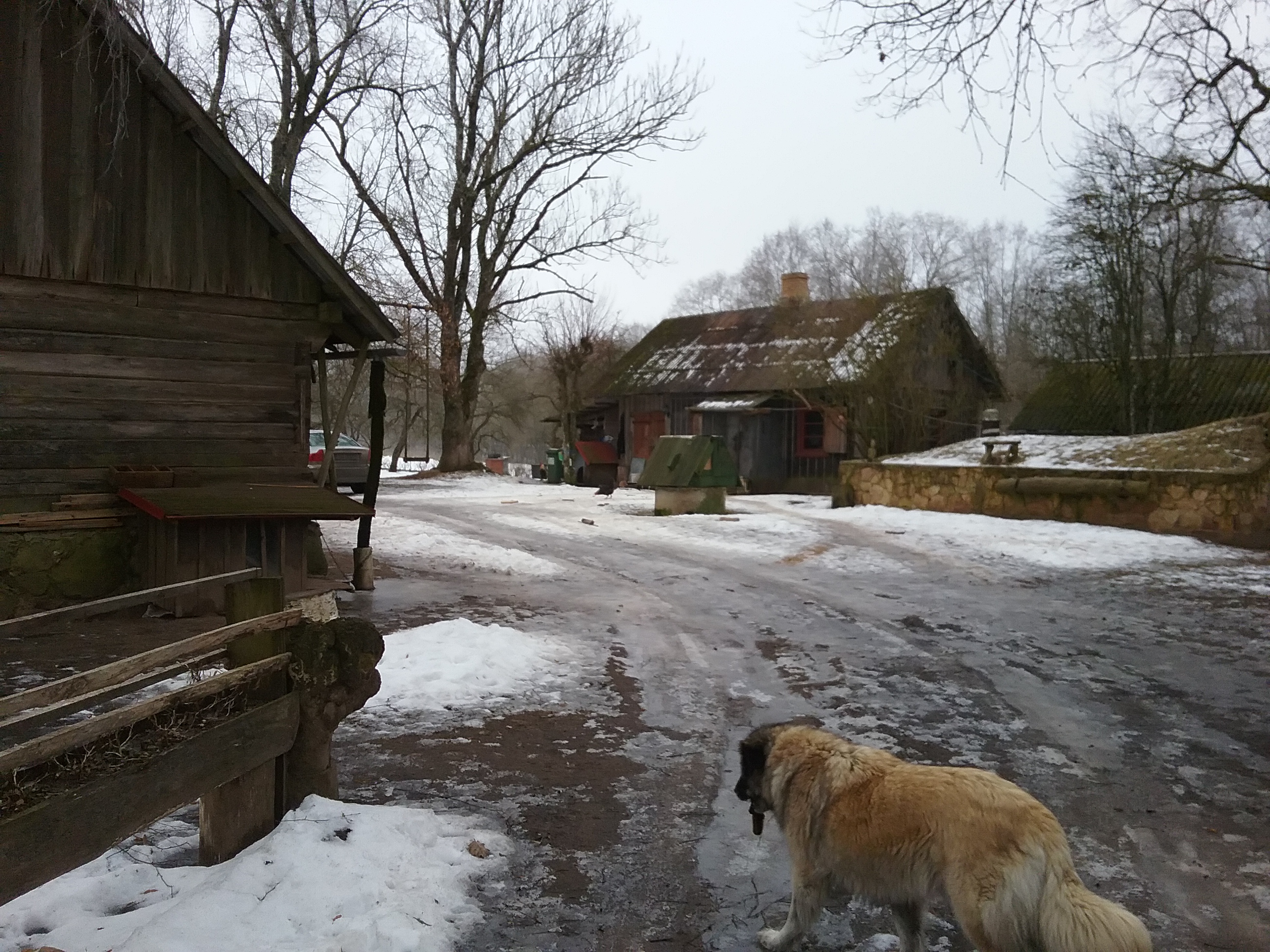 Apkārtnes foto