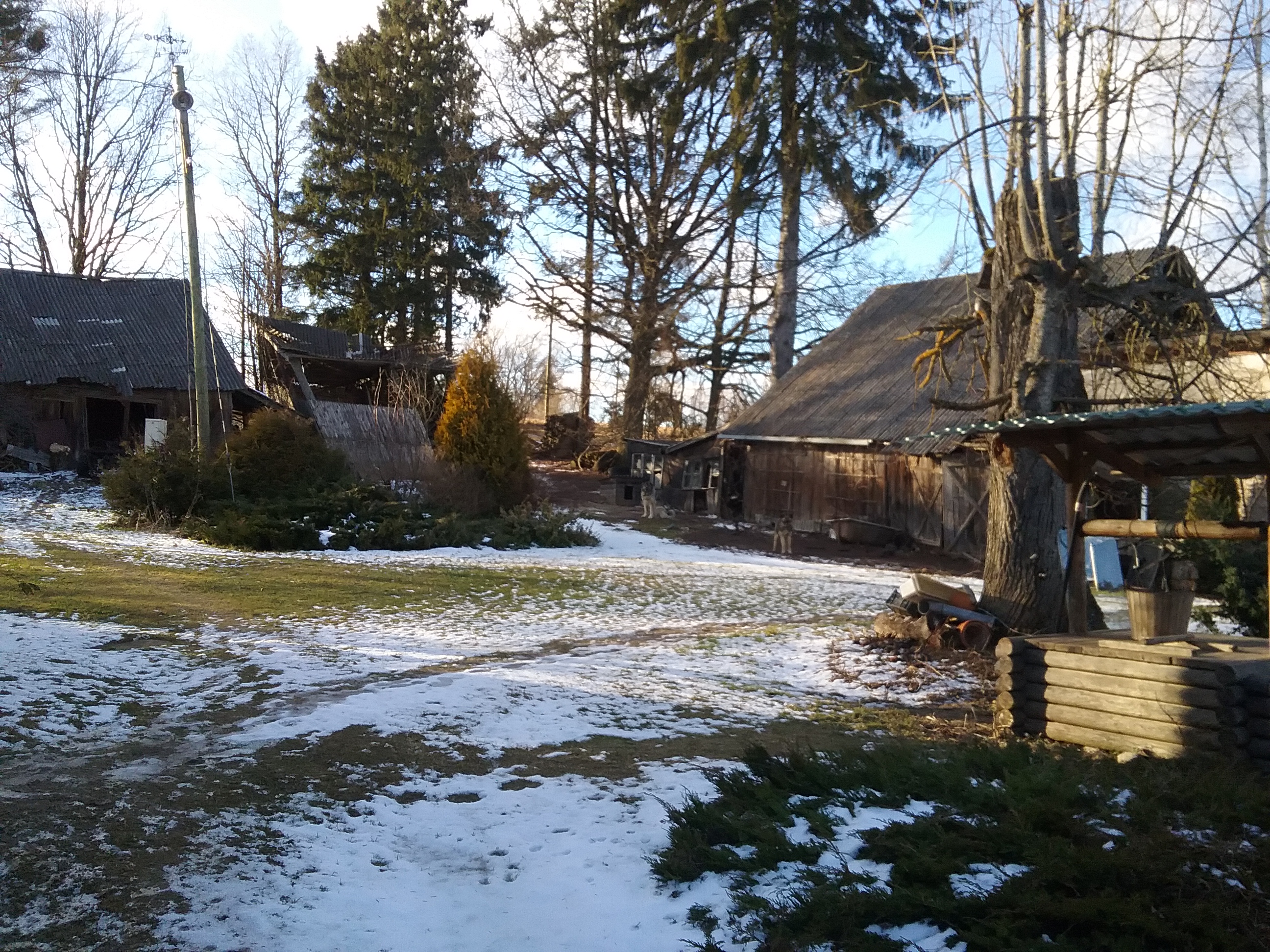 Apkārtnes foto