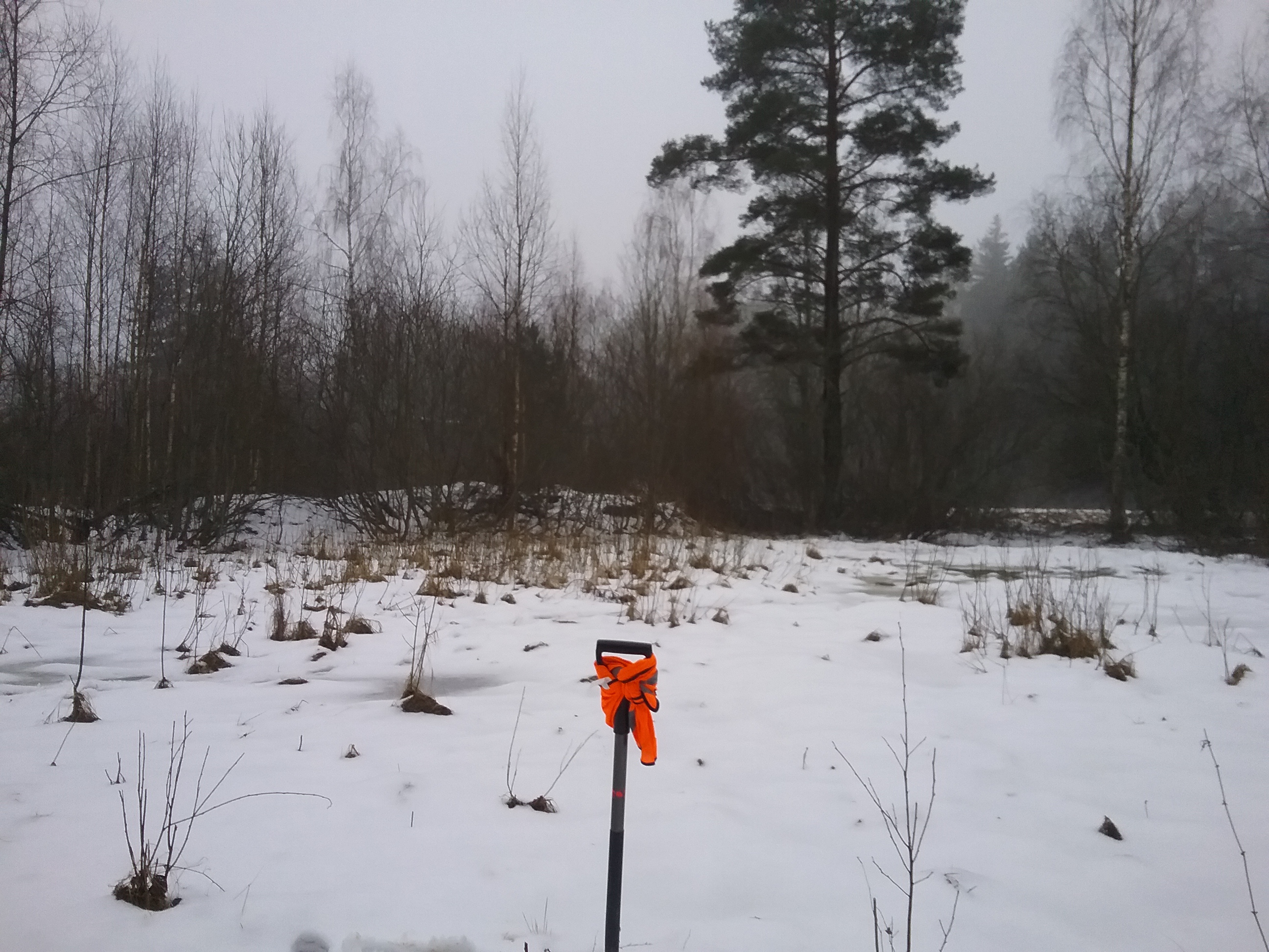 Apkārtnes foto