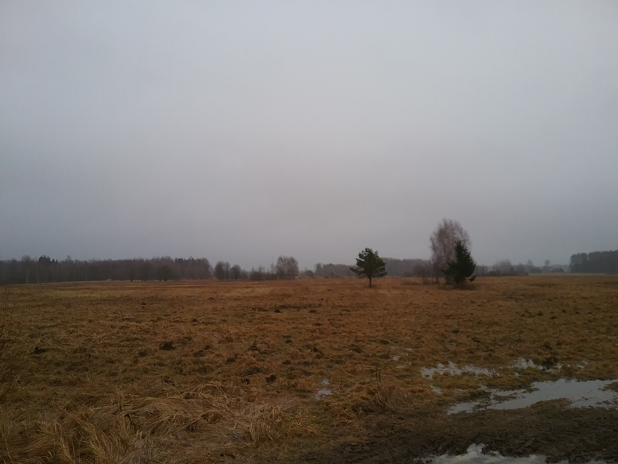 Apkārtnes foto