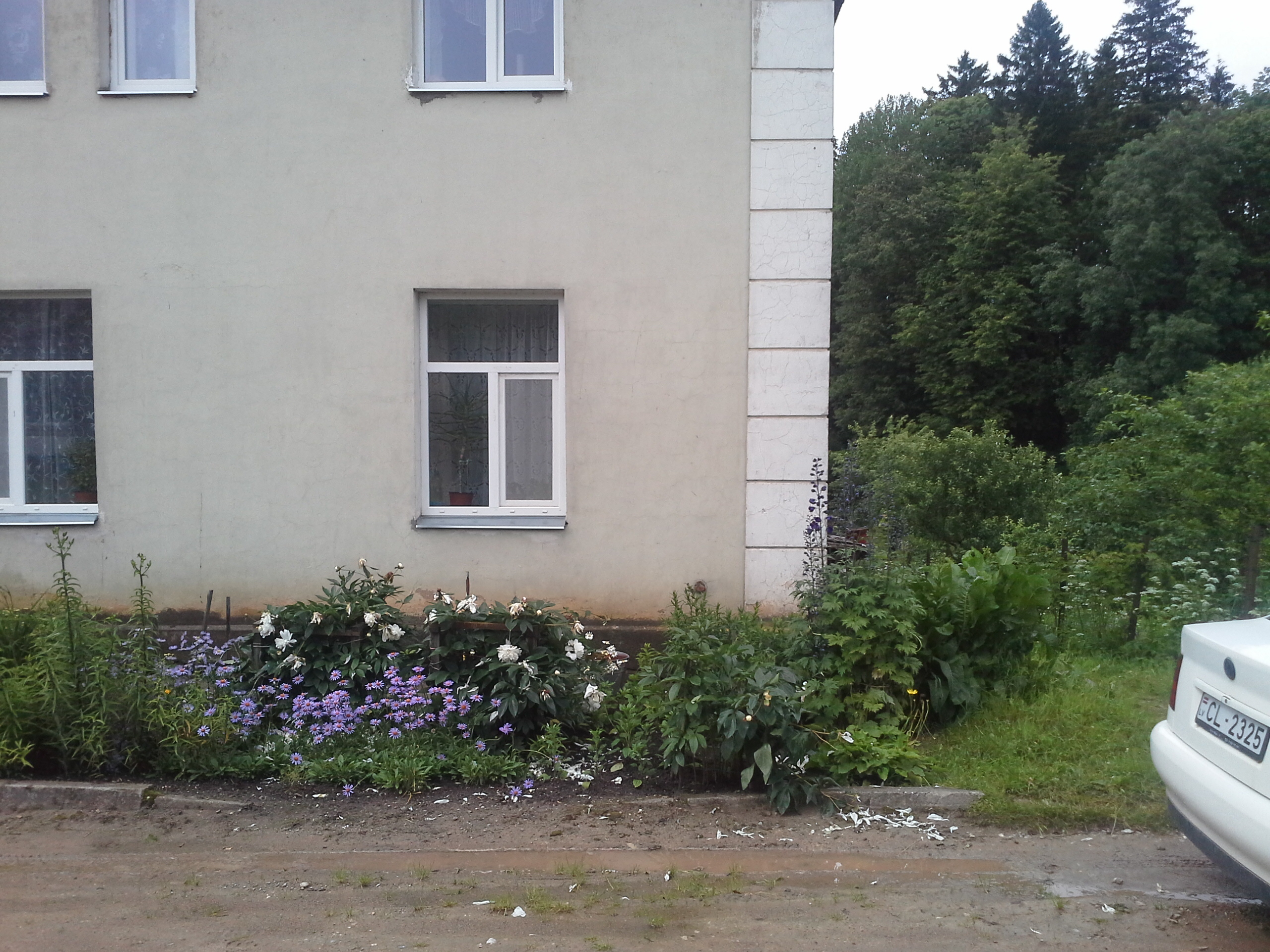Apkārtnes foto