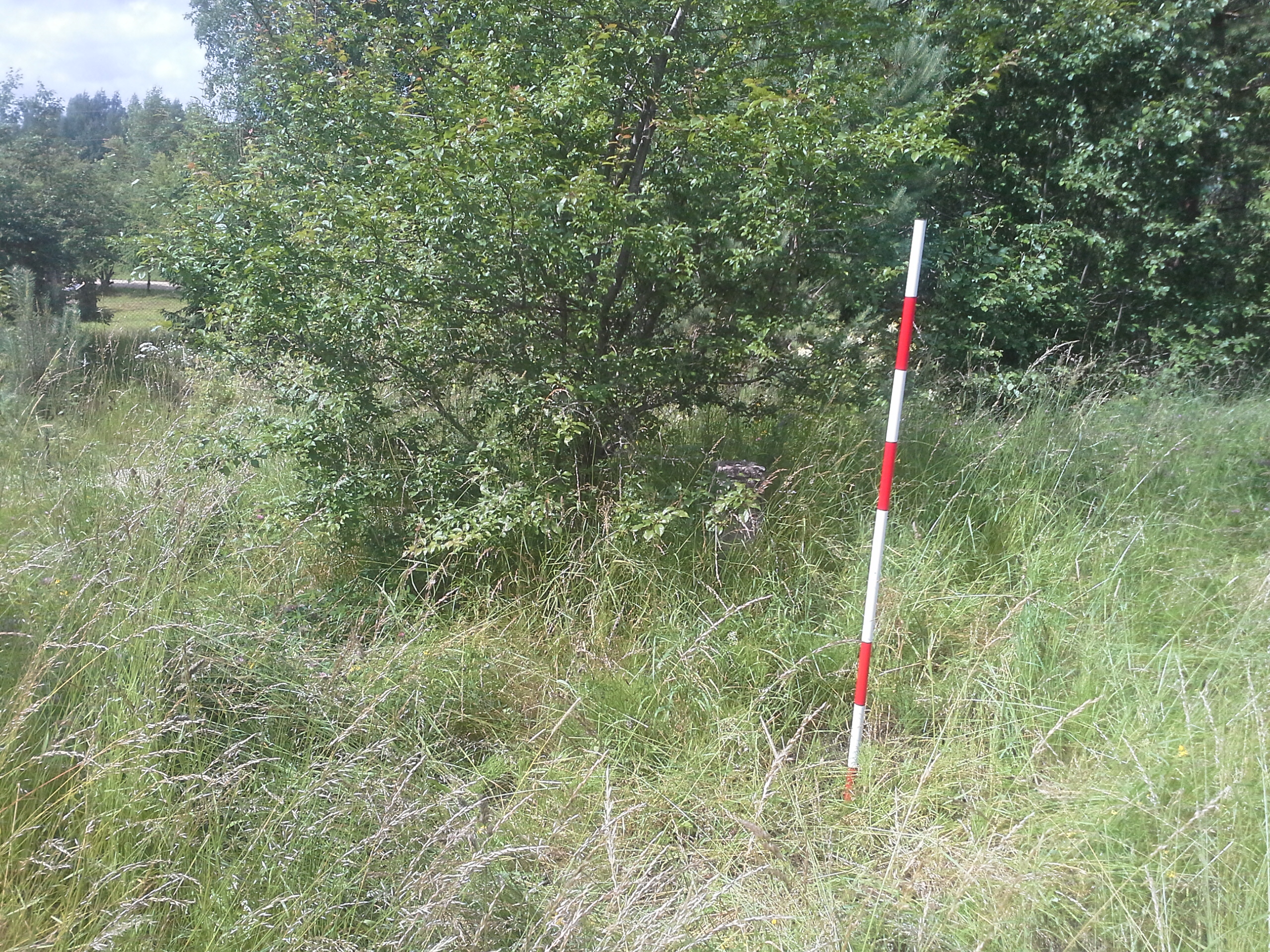 Apkārtnes foto