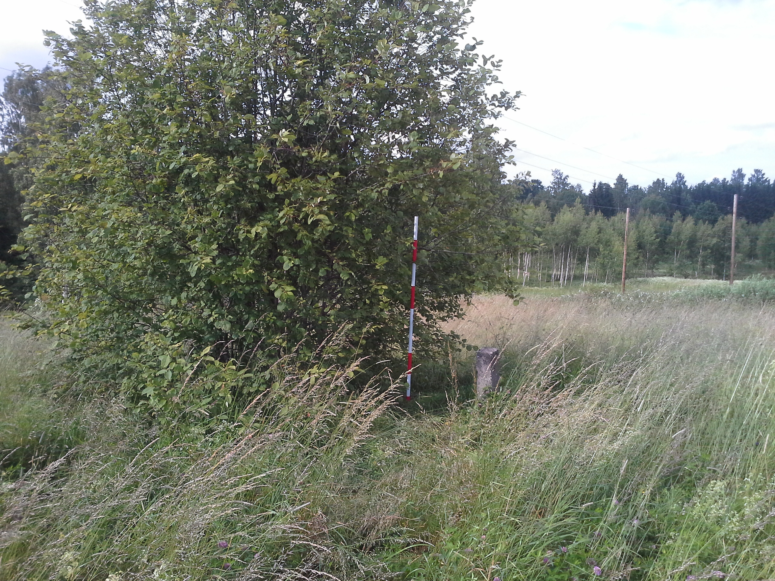Apkārtnes foto