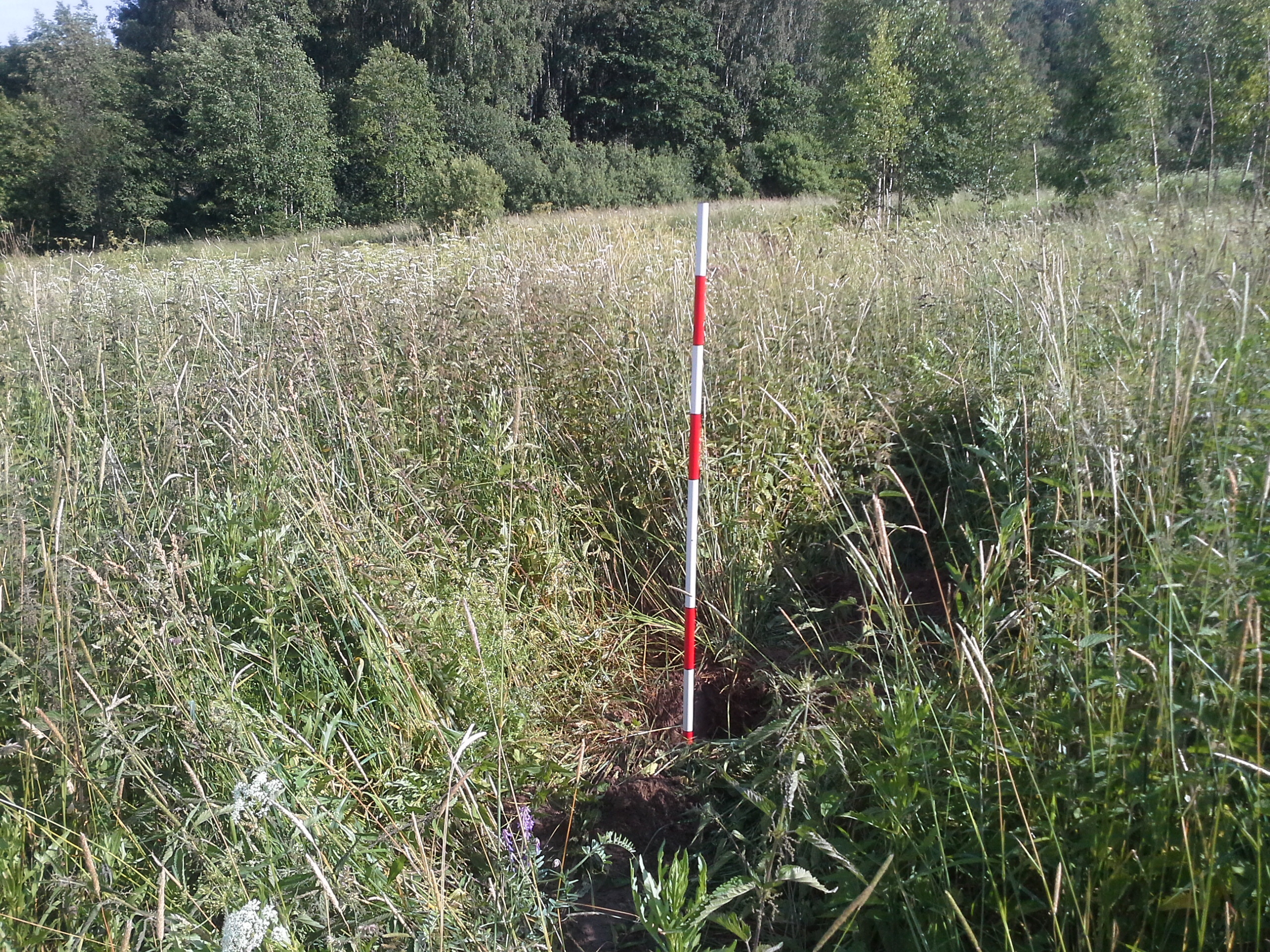 Apkārtnes foto
