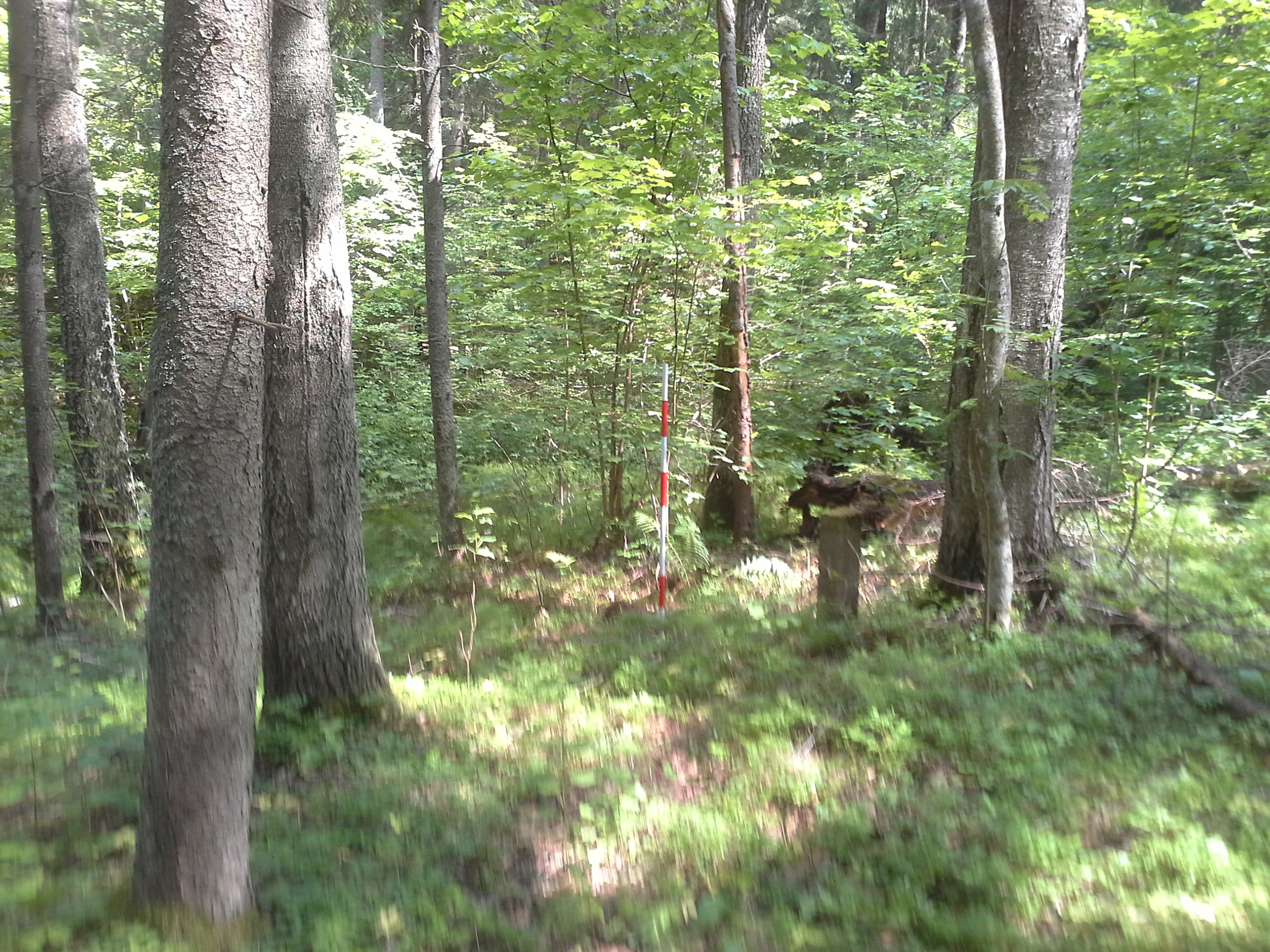 Apkārtnes foto