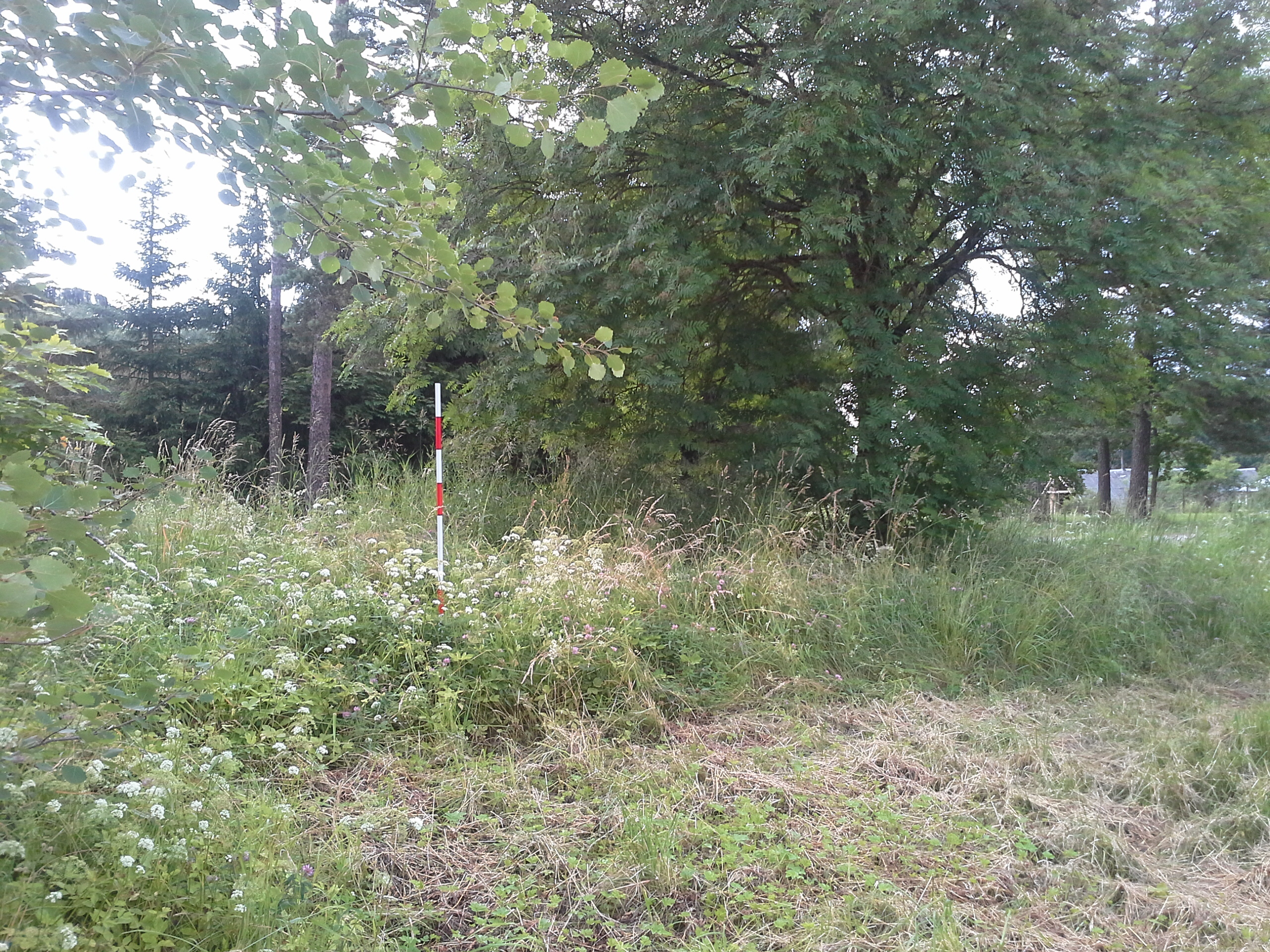 Apkārtnes foto