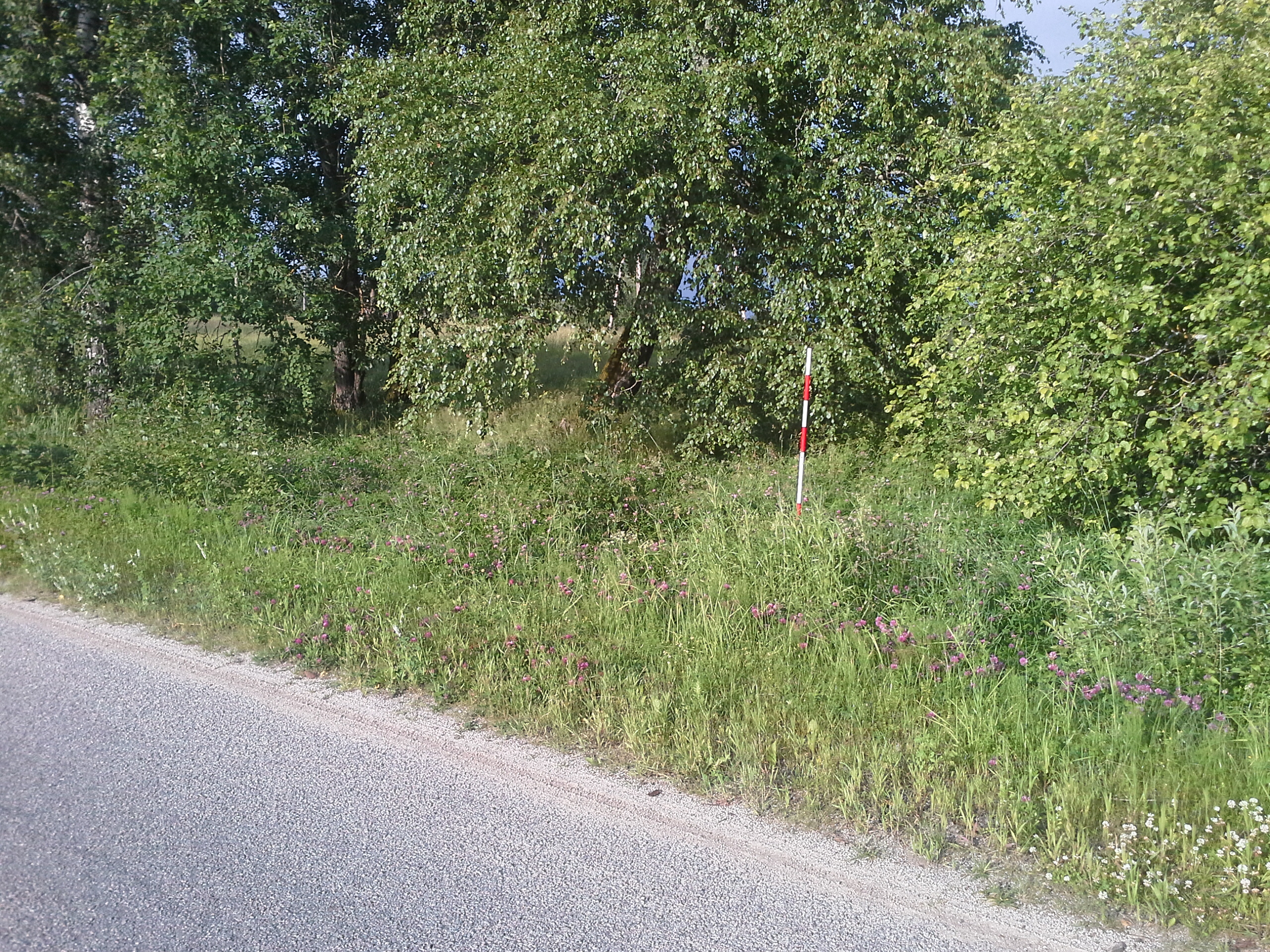 Apkārtnes foto