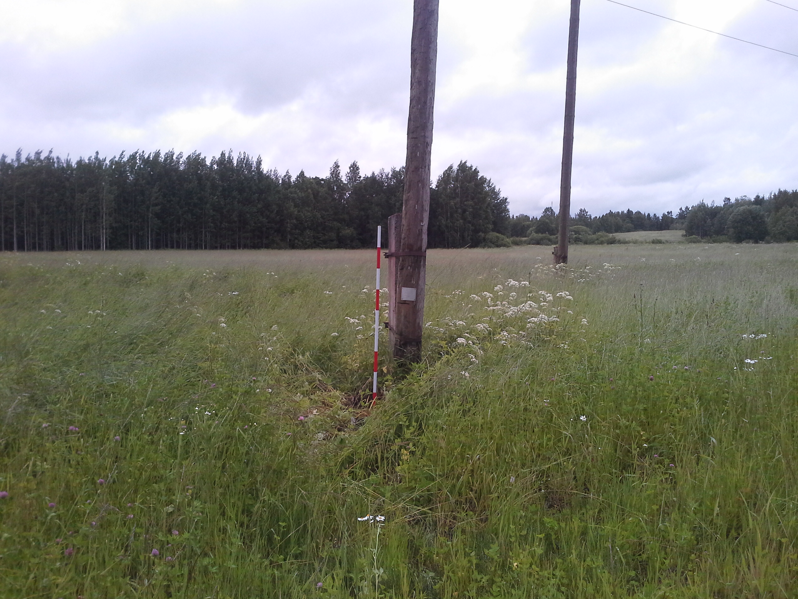 Apkārtnes foto