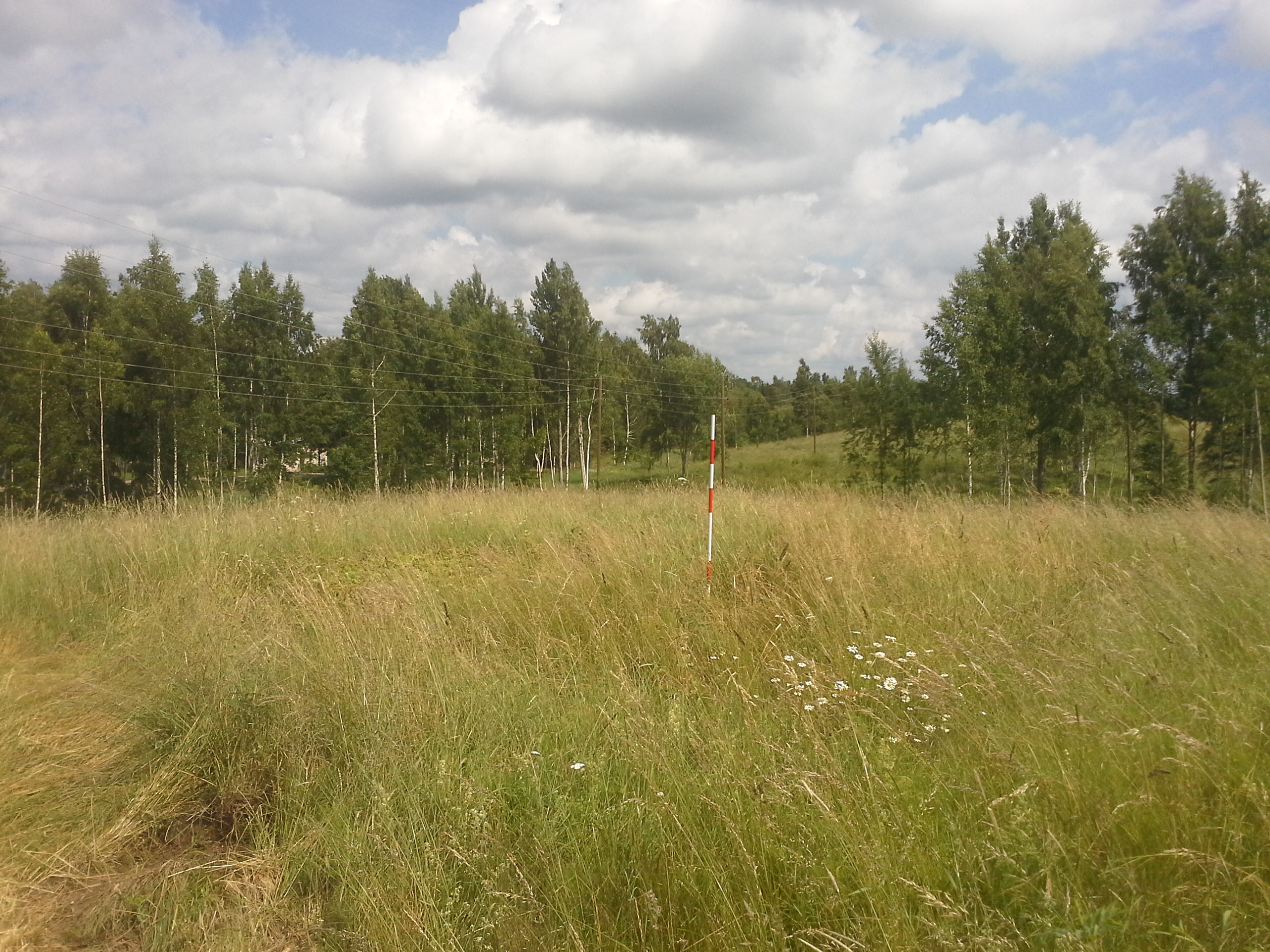 Apkārtnes foto