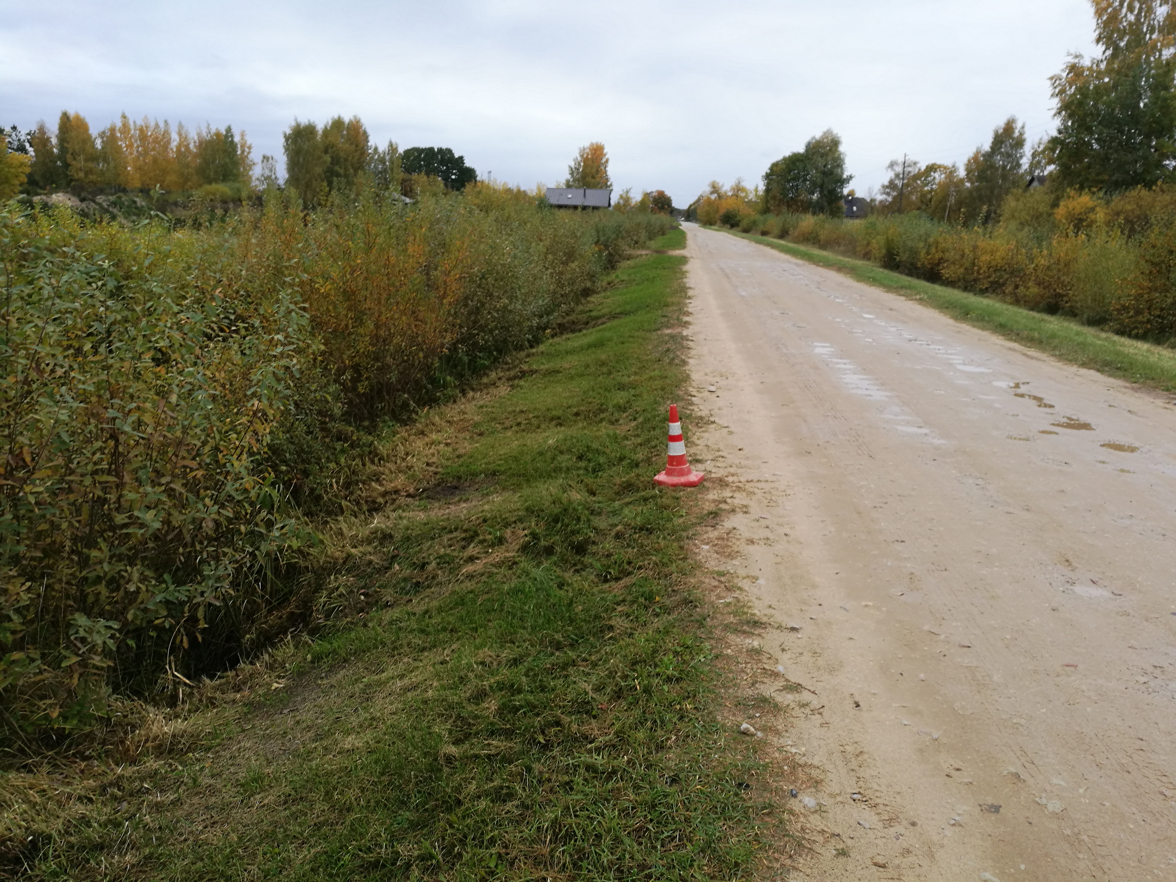 Apkārtnes foto