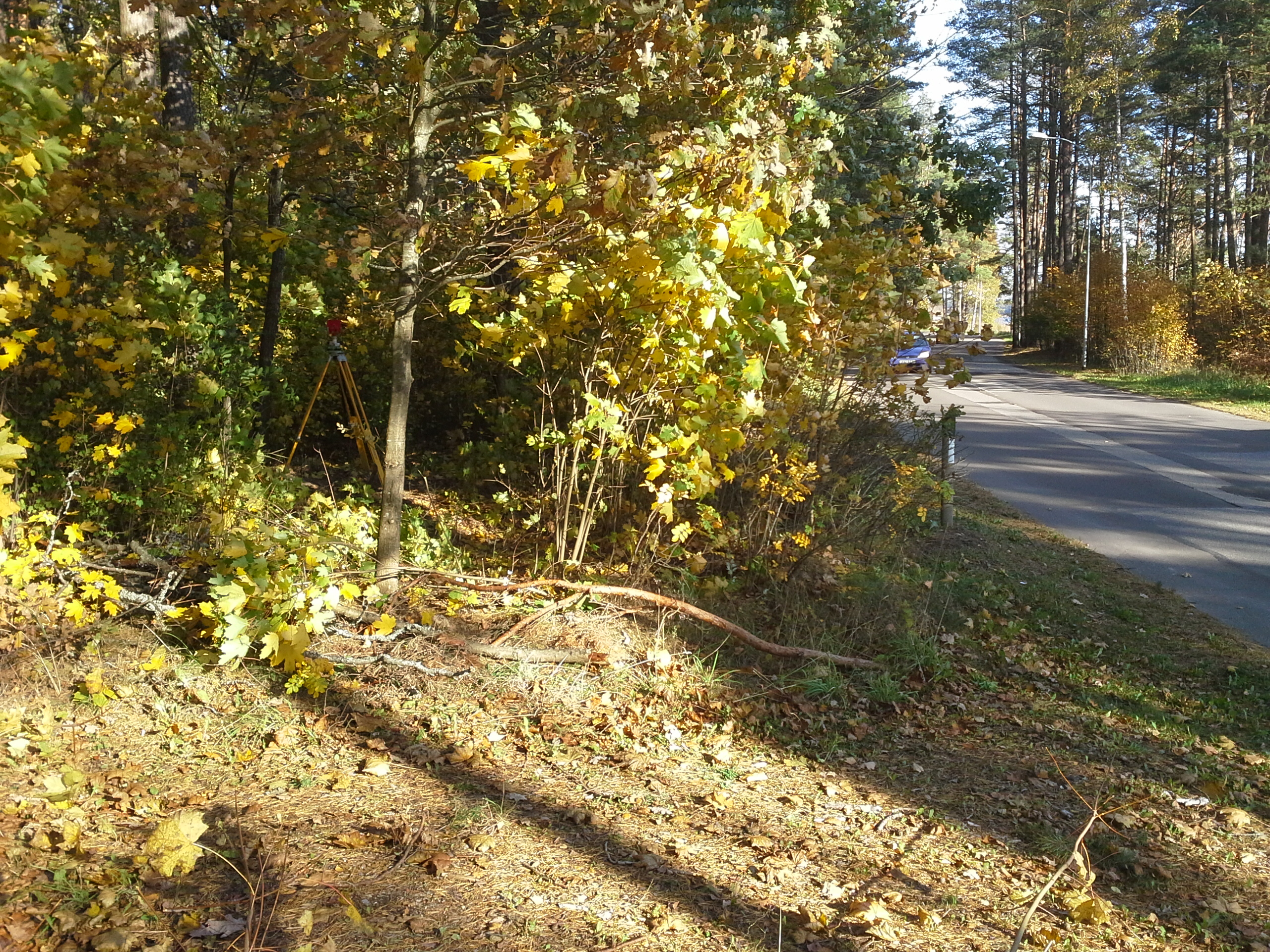 Apkārtnes foto