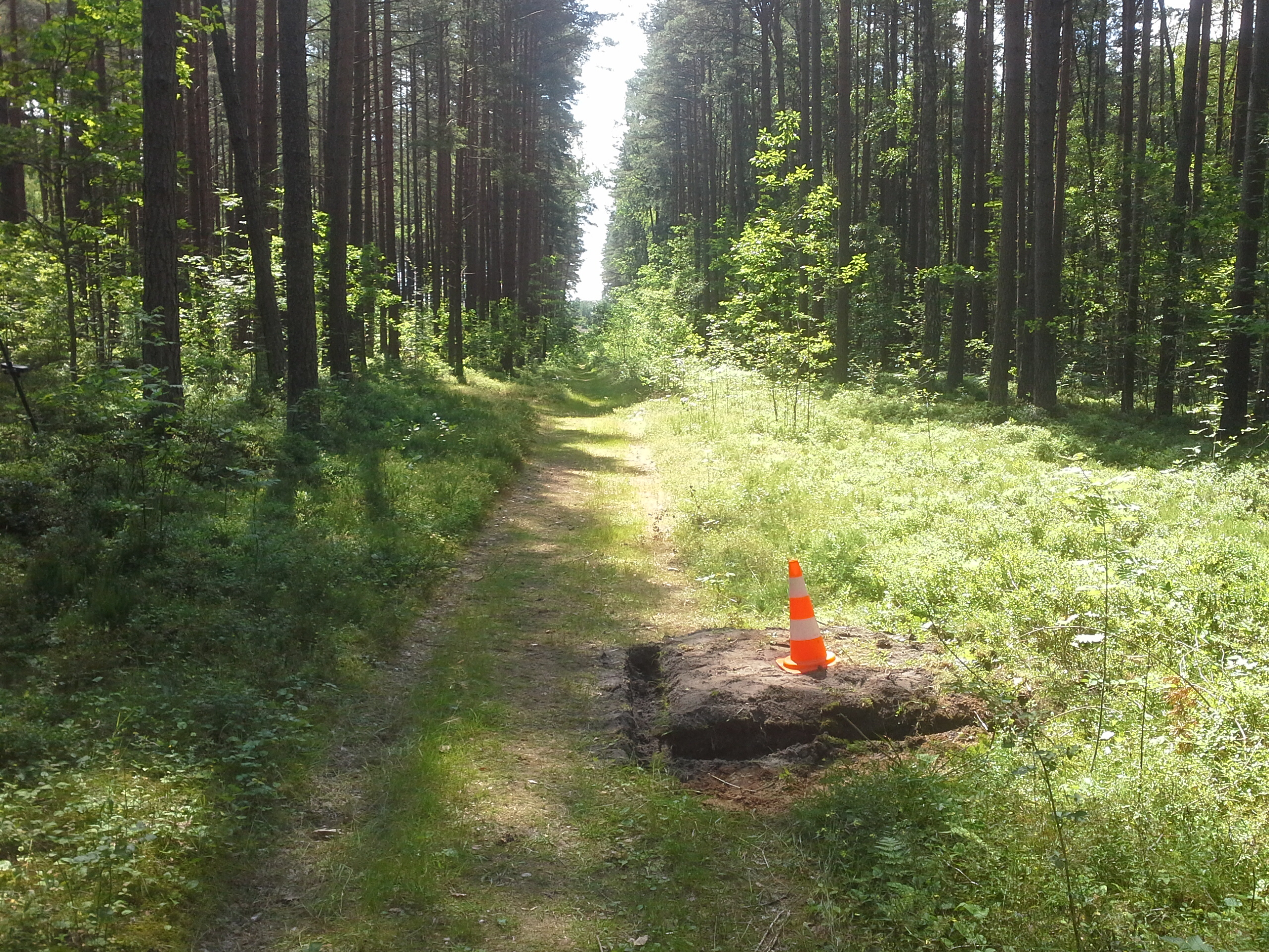 Apkārtnes foto