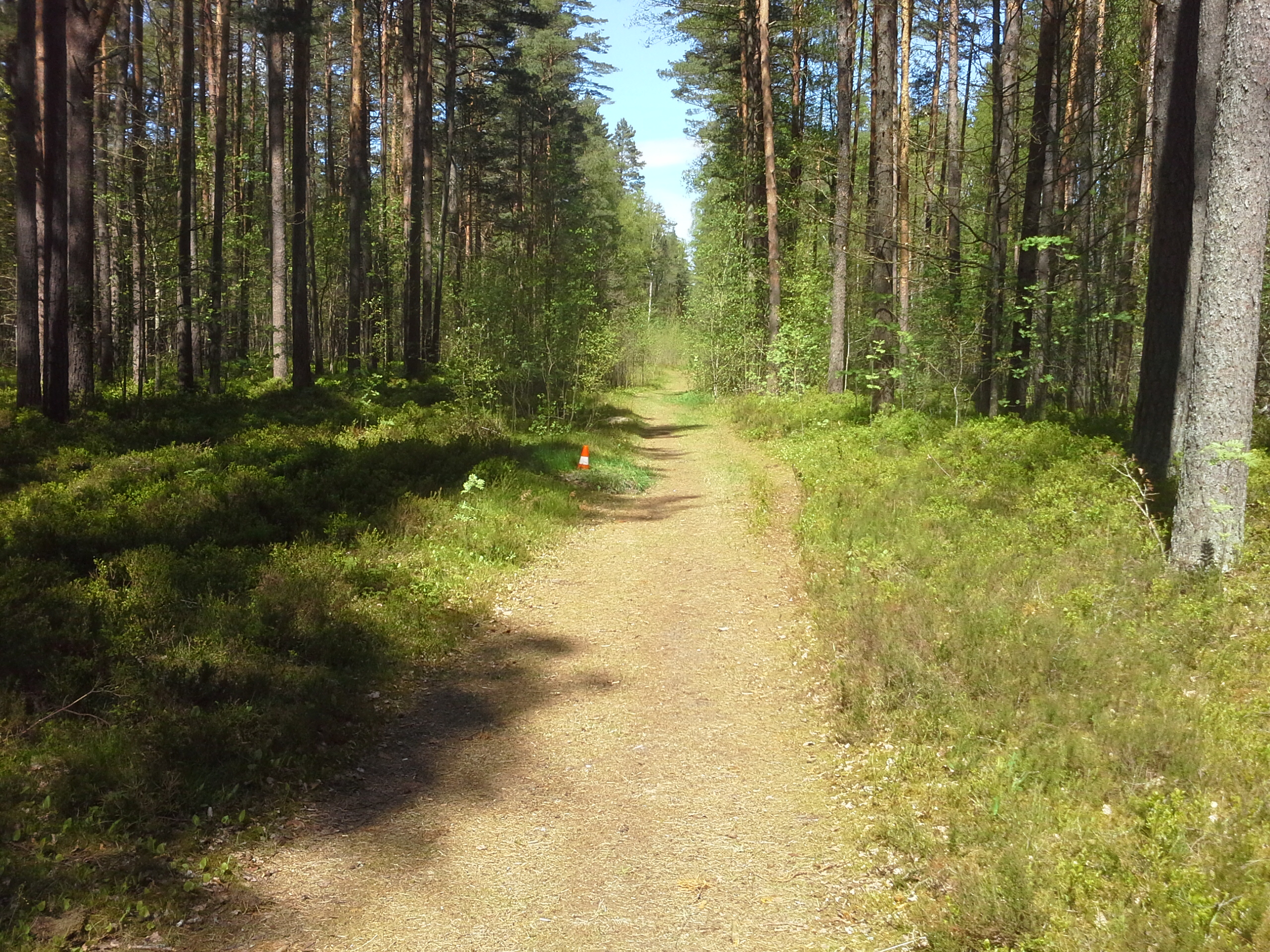 Apkārtnes foto